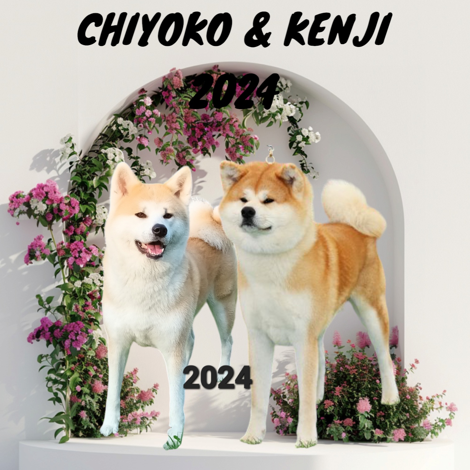 Akita Inu Chovatelská stanice - Fuji No Shibuya foto 6