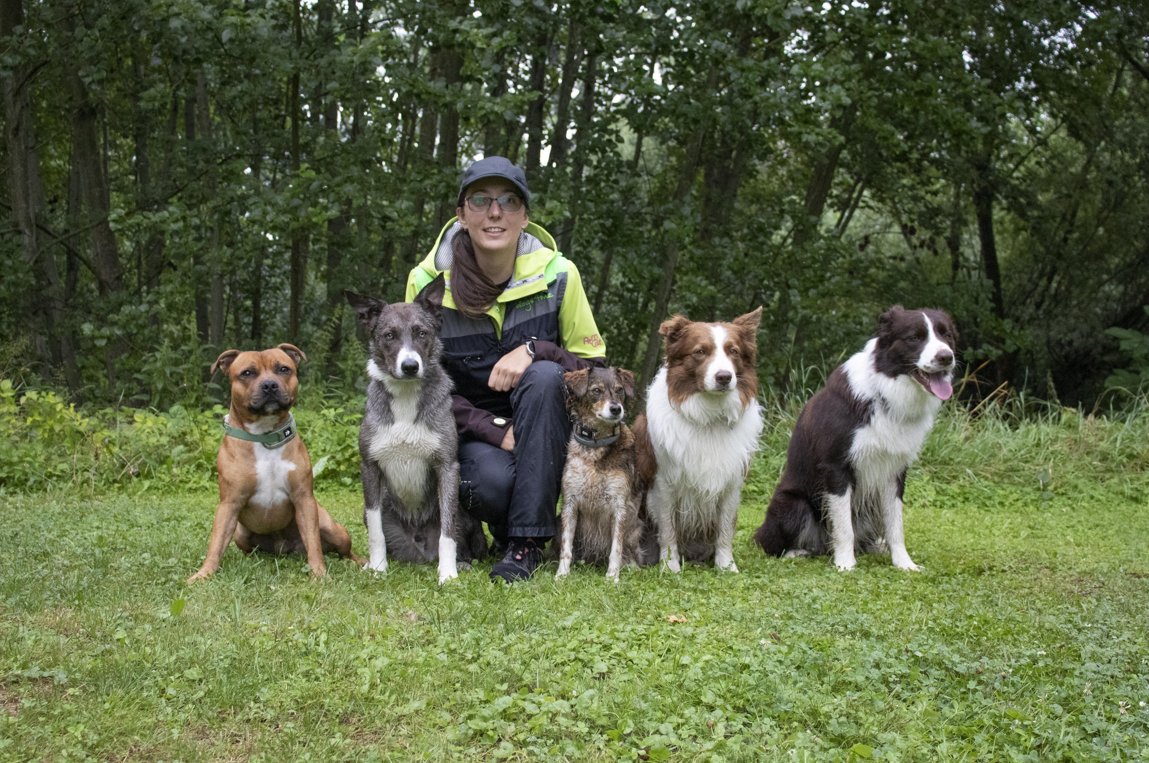 Výcvik psů - ŤUYI TEAM