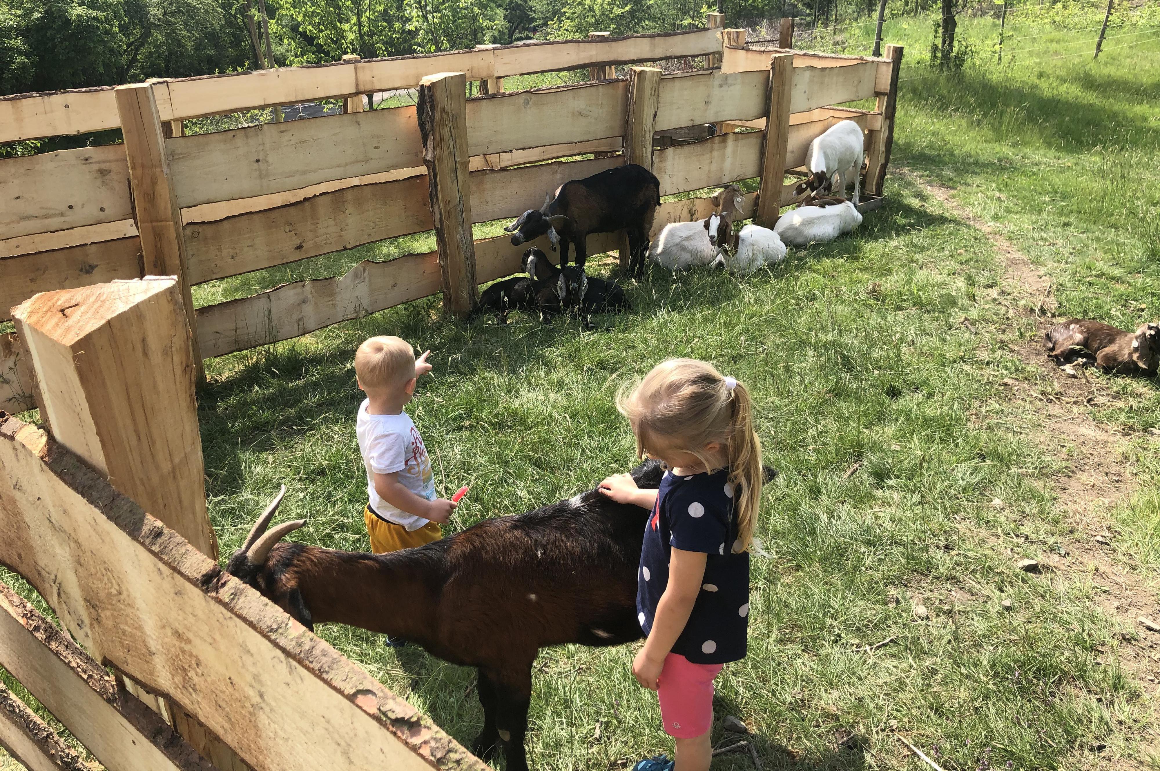 FARMA Holubí Dům pod Hazmburkem