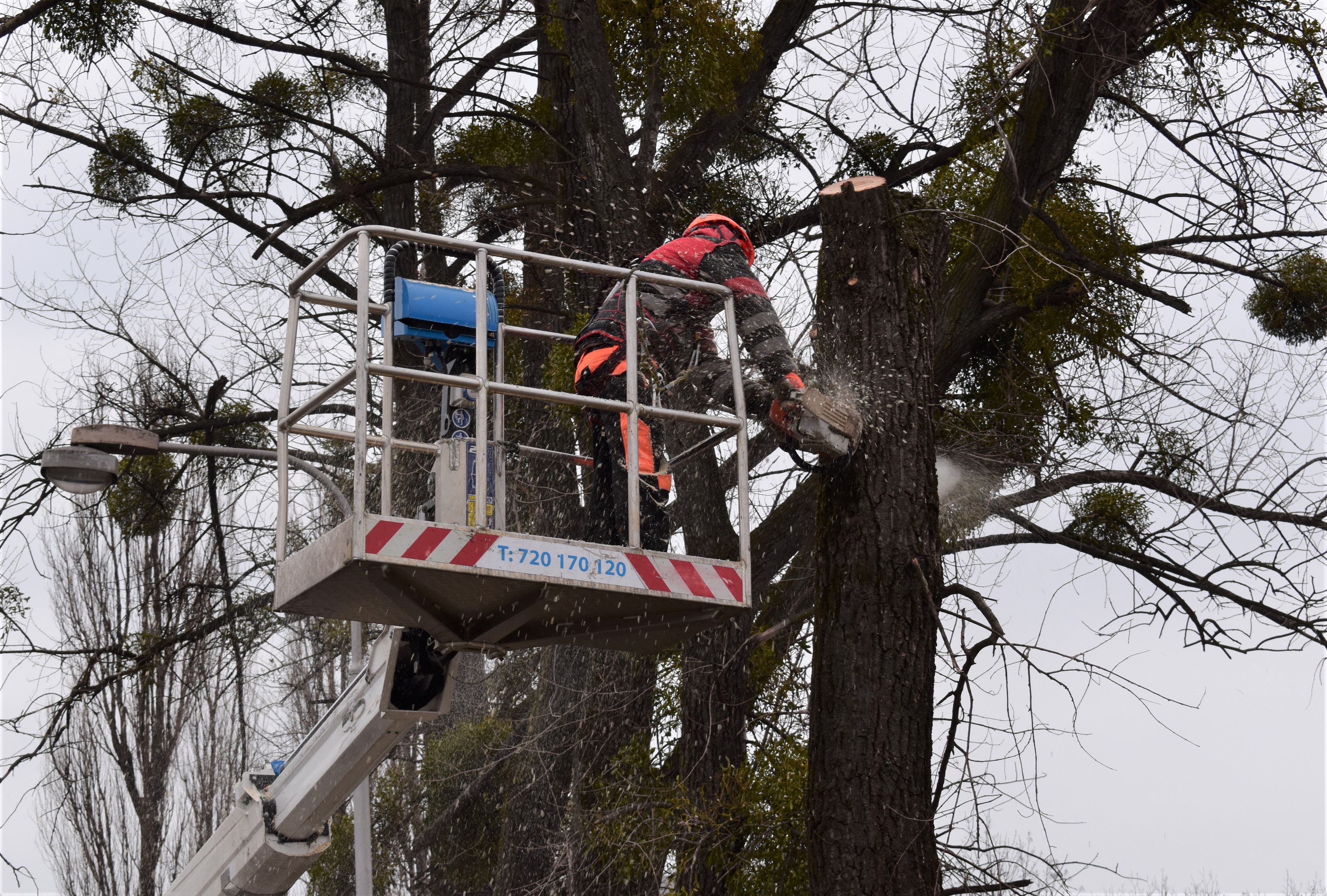 KOVO Třinec s.r.o. - zeleň foto 3