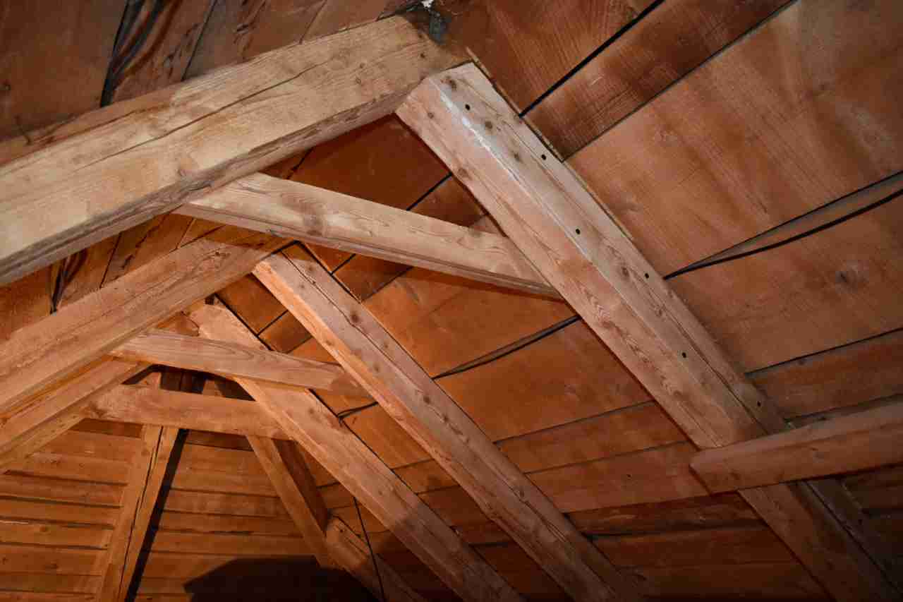 Hylák - ošetření dřeva s.r.o. foto 2