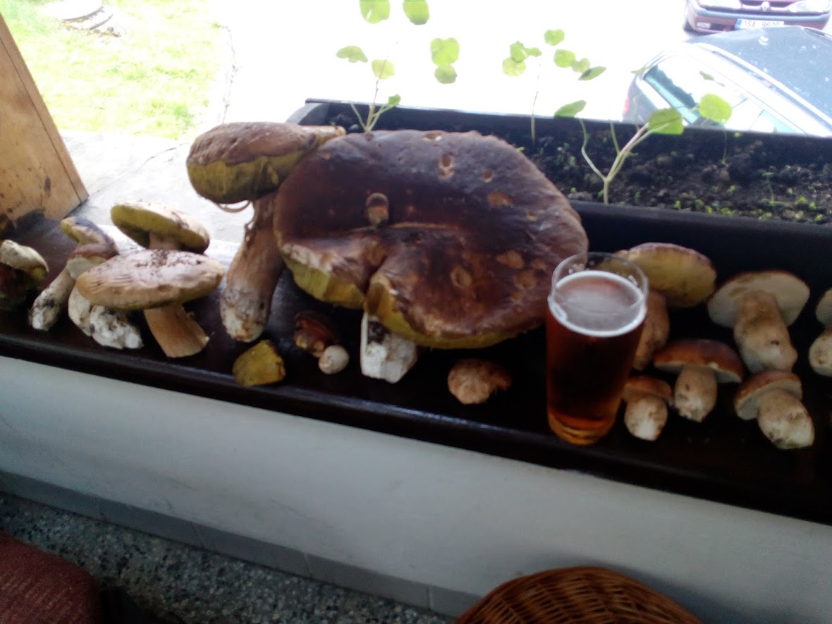 Chata Na Losenici foto 4