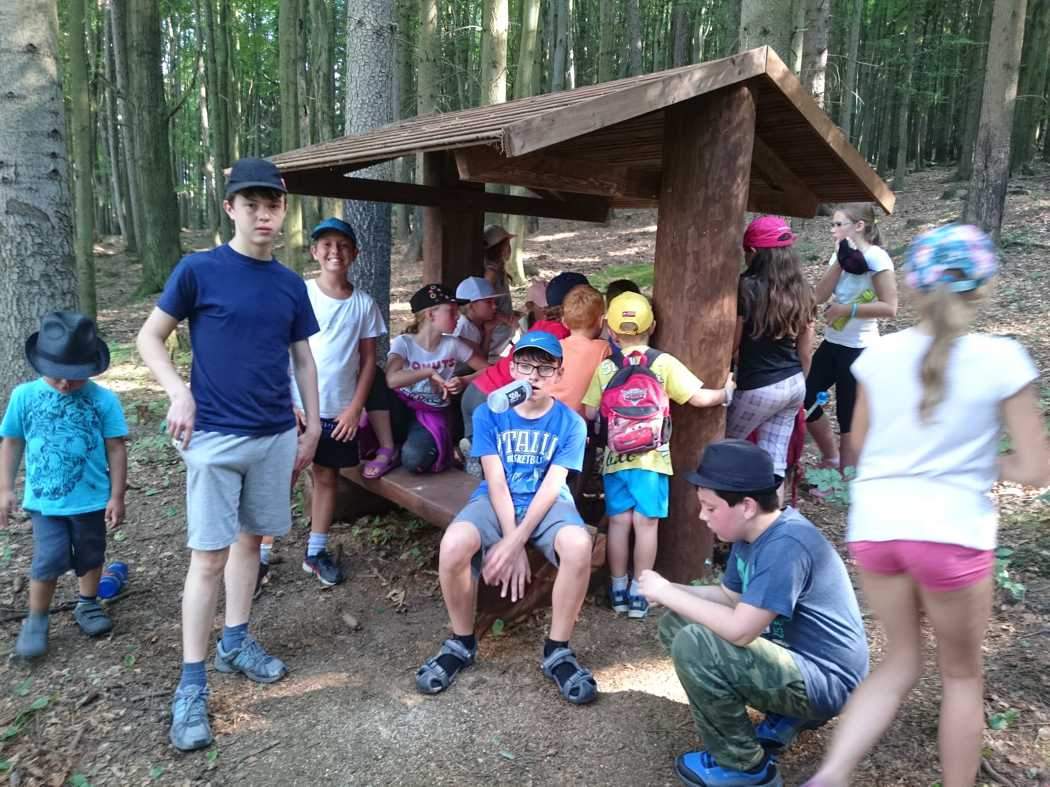 mujnejlepsitabor.cz foto 3