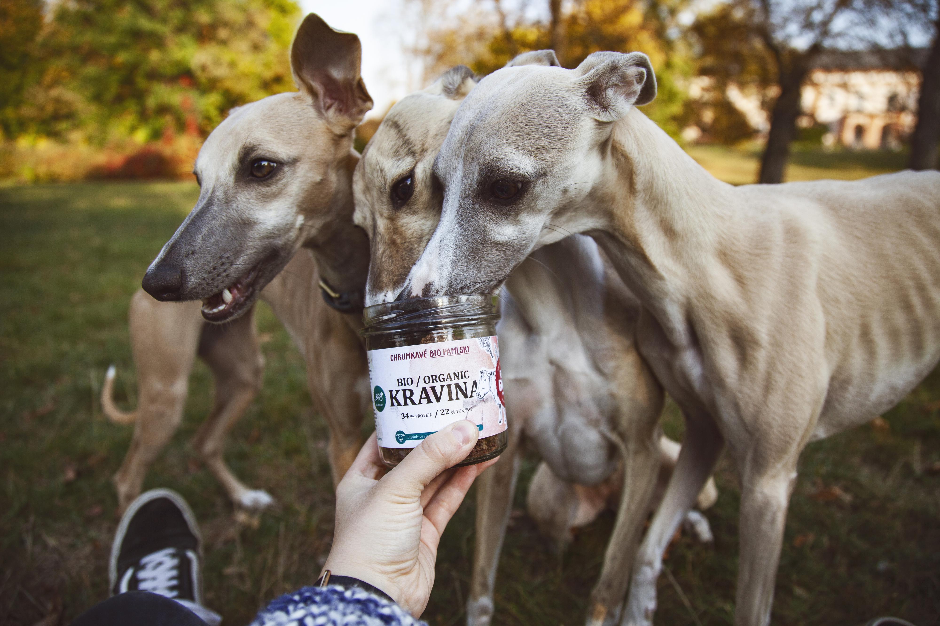 Pet Farm Family foto 2