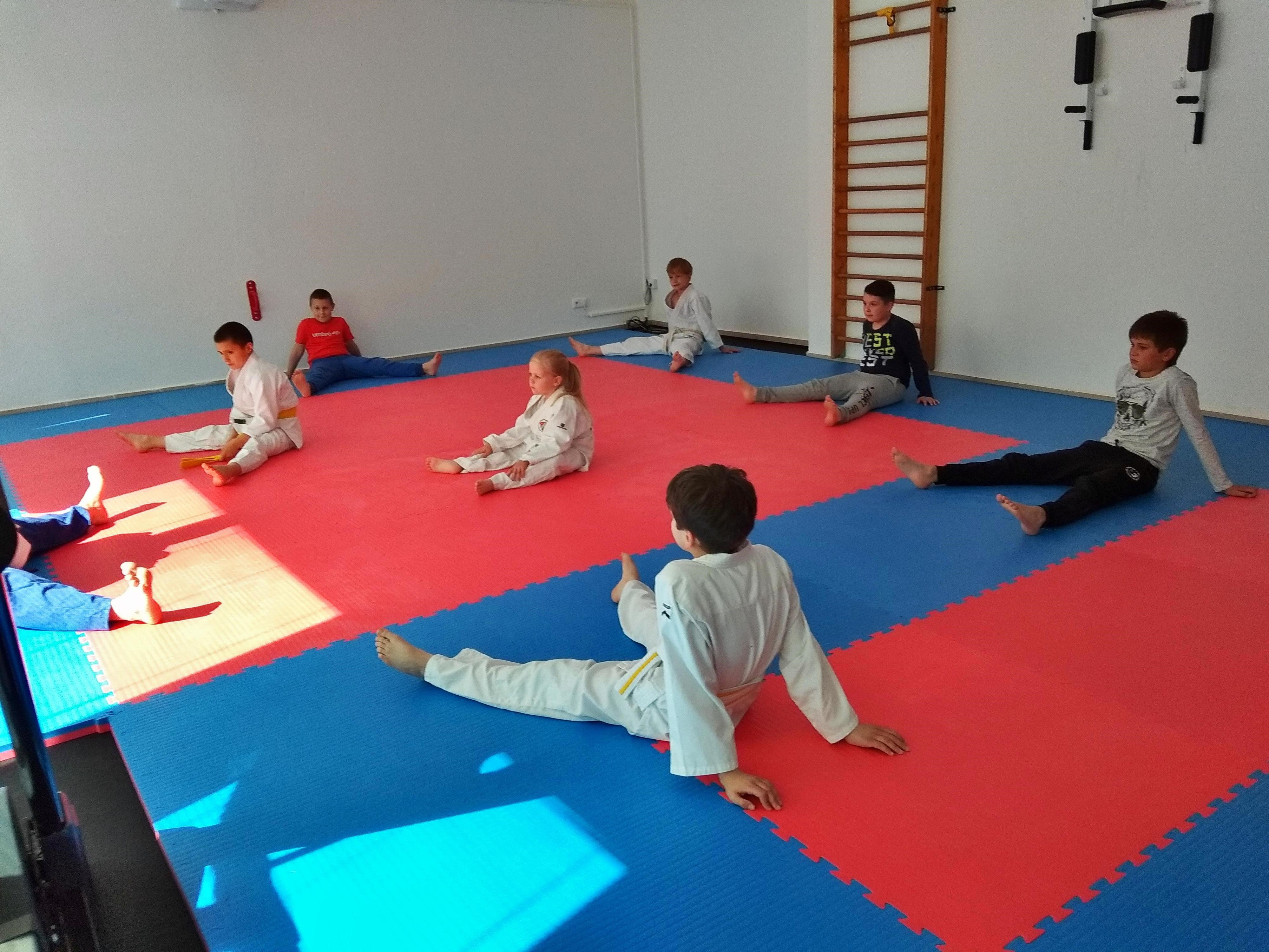 ProJudo foto 6