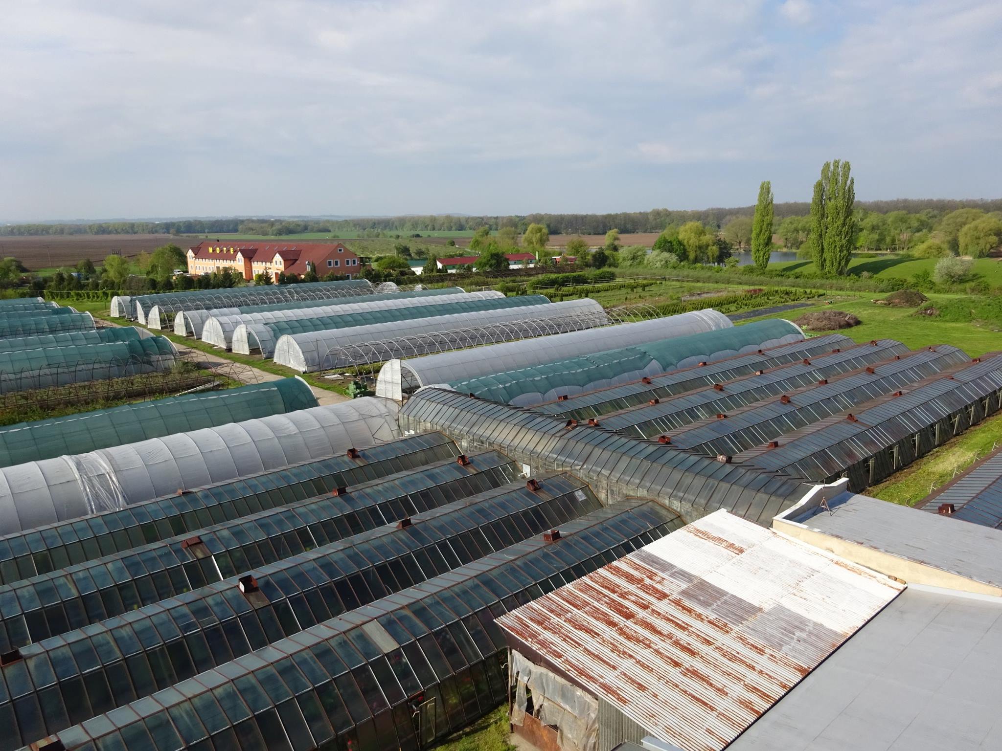 ADAVO zahradnictví foto 3