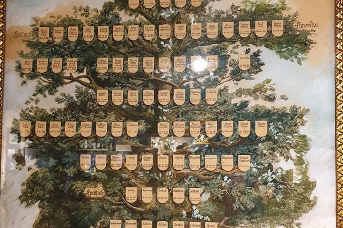 Rodokmeny - Mgr. Marta Eliašová