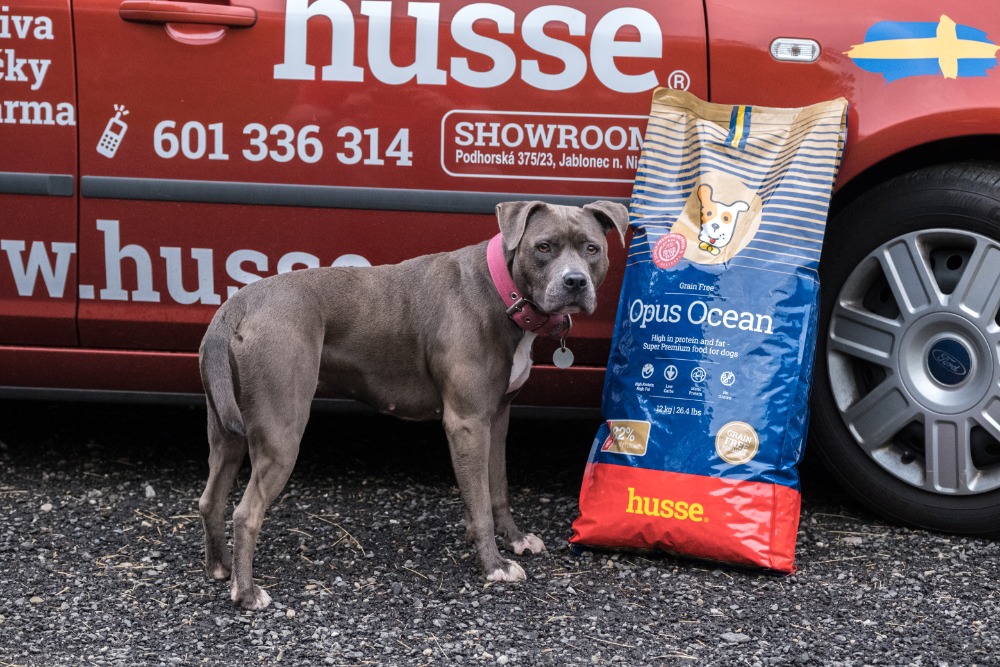 HUSSE foto 4