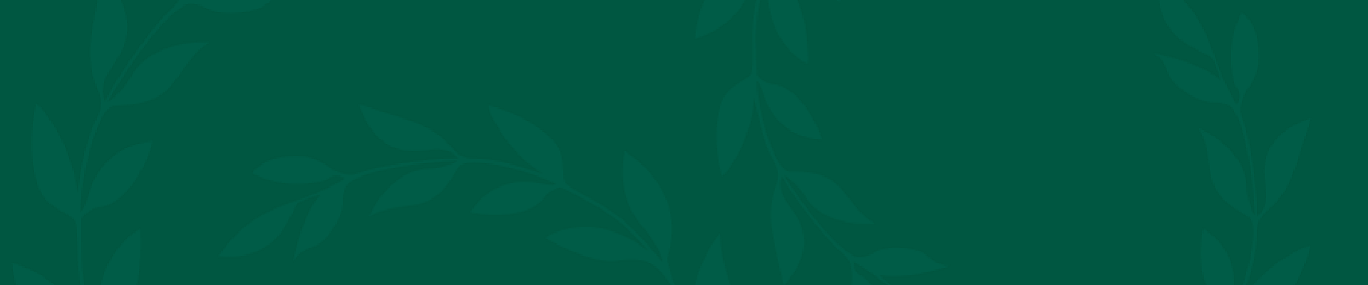 Úvodní obrázek POHŘEBNÍ ÚSTAV ELPIS - Pohřební služba Kralupy nad Vltavou