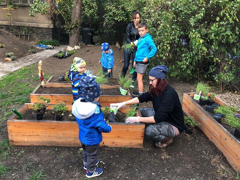 Dětská skupina Medvědi Kolín