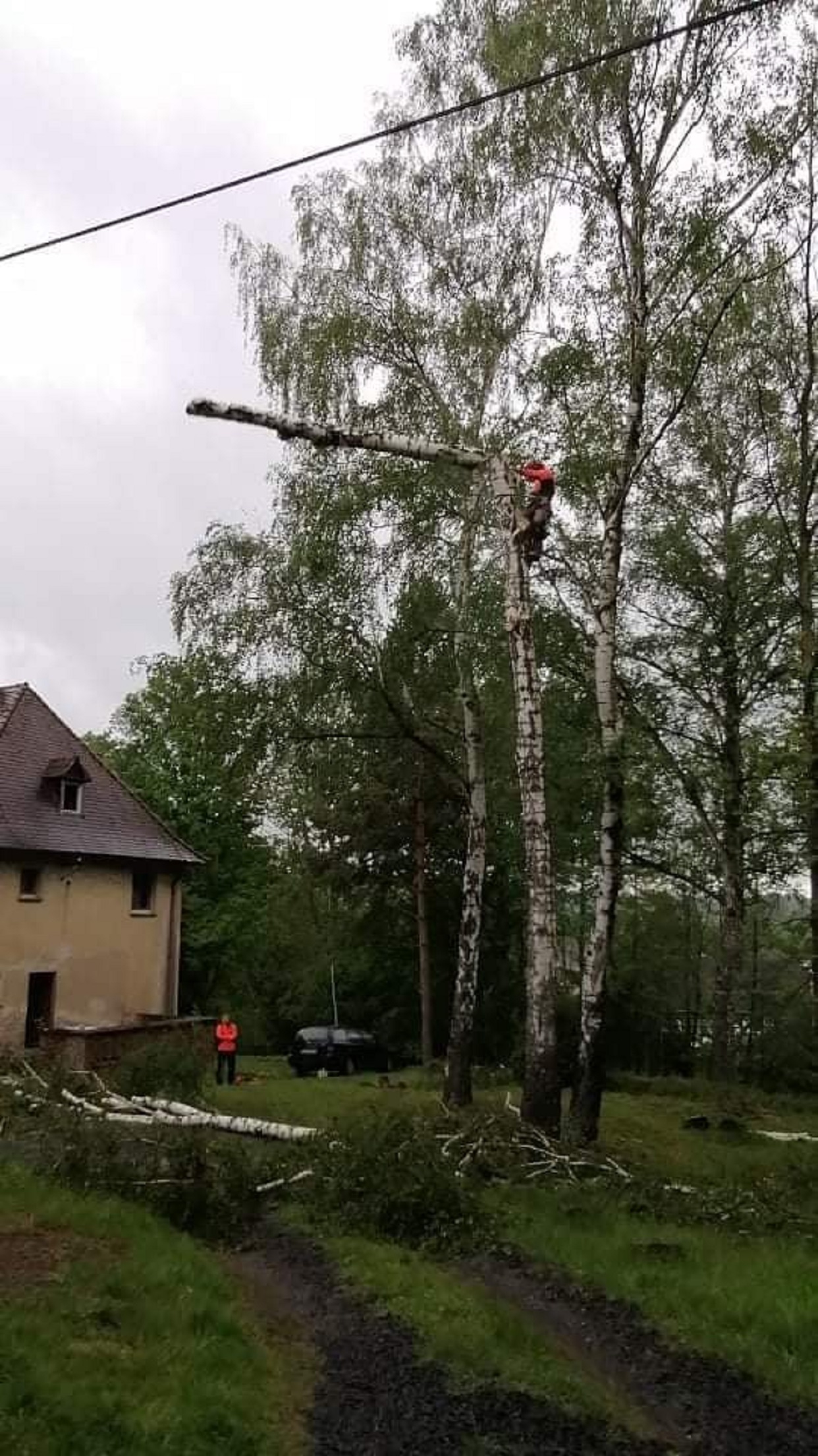 Rizikové kácení stromů Miroslav Hanuš foto 2