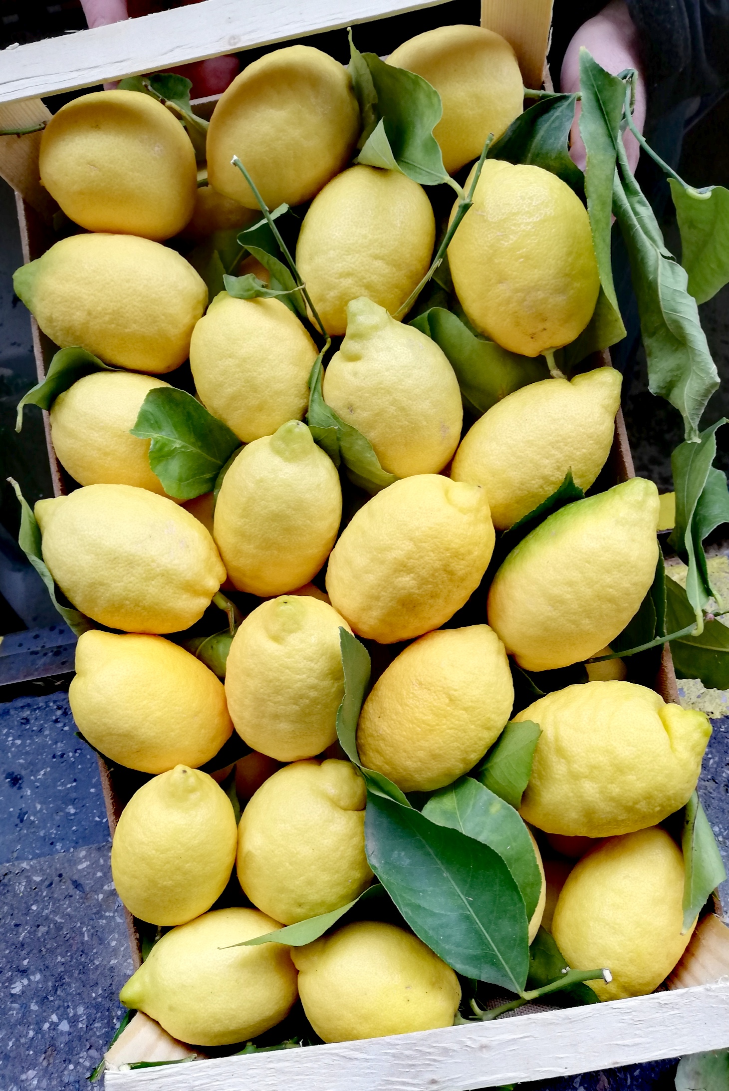 italska-domacnost.cz foto 4