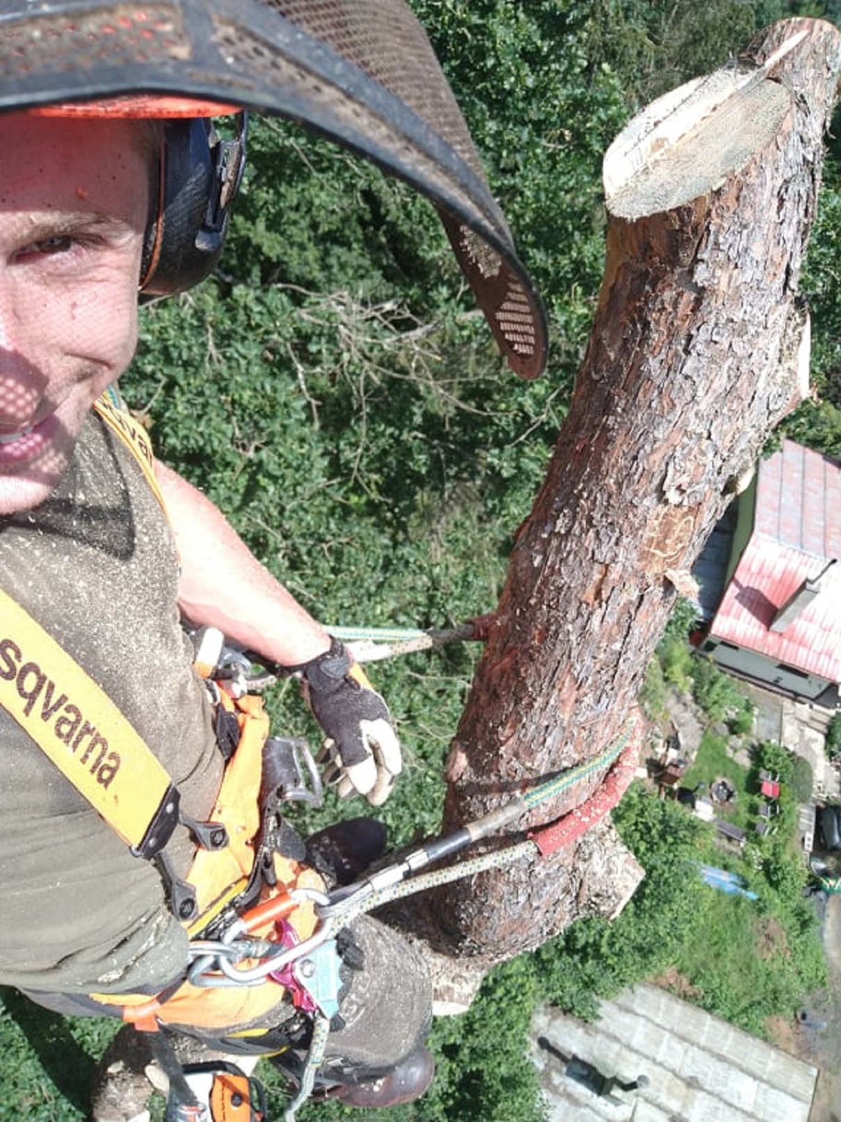 Rizikové kácení stromů Miroslav Hanuš foto 4