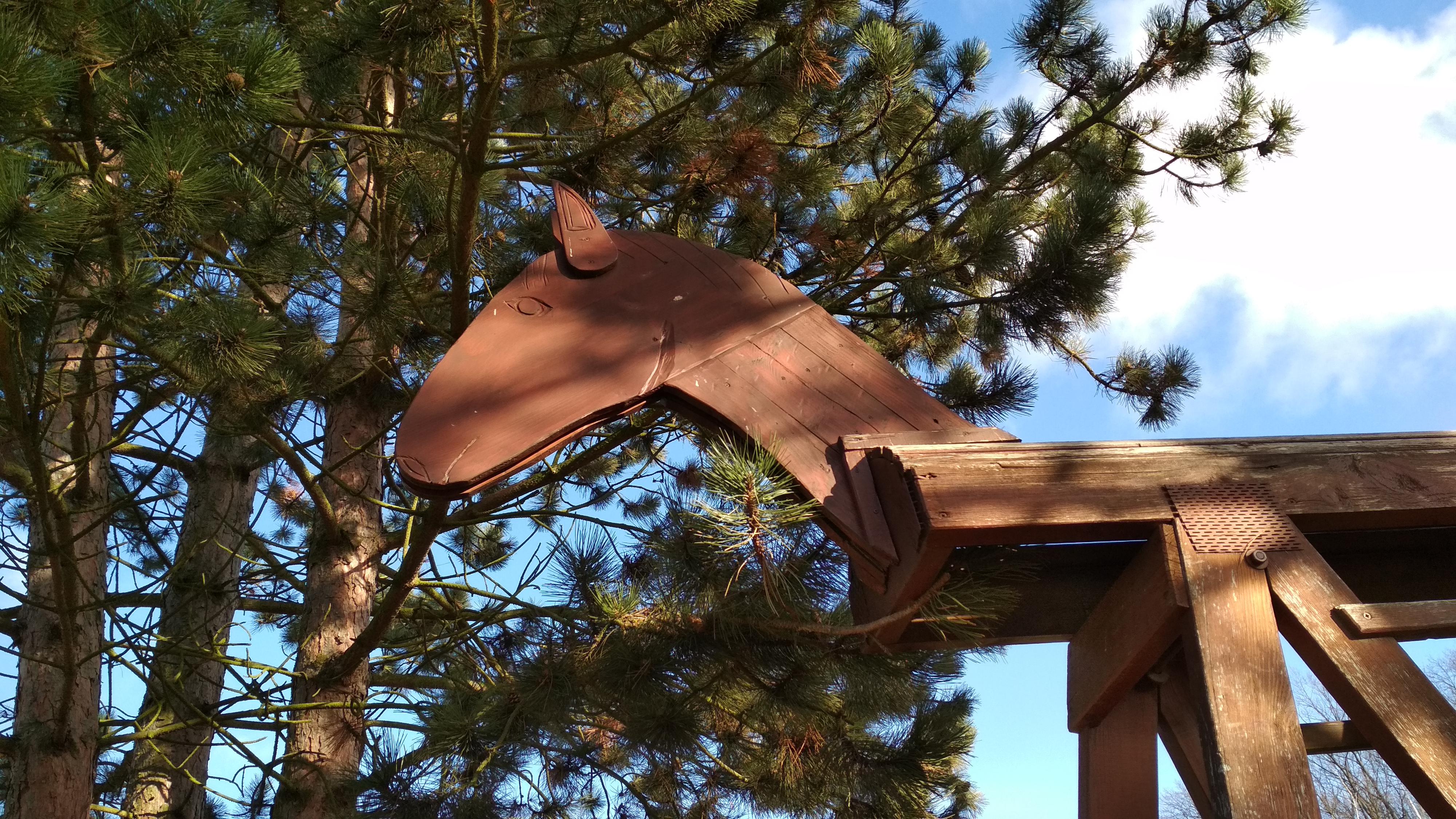 JK Obora Poděbrady foto 5