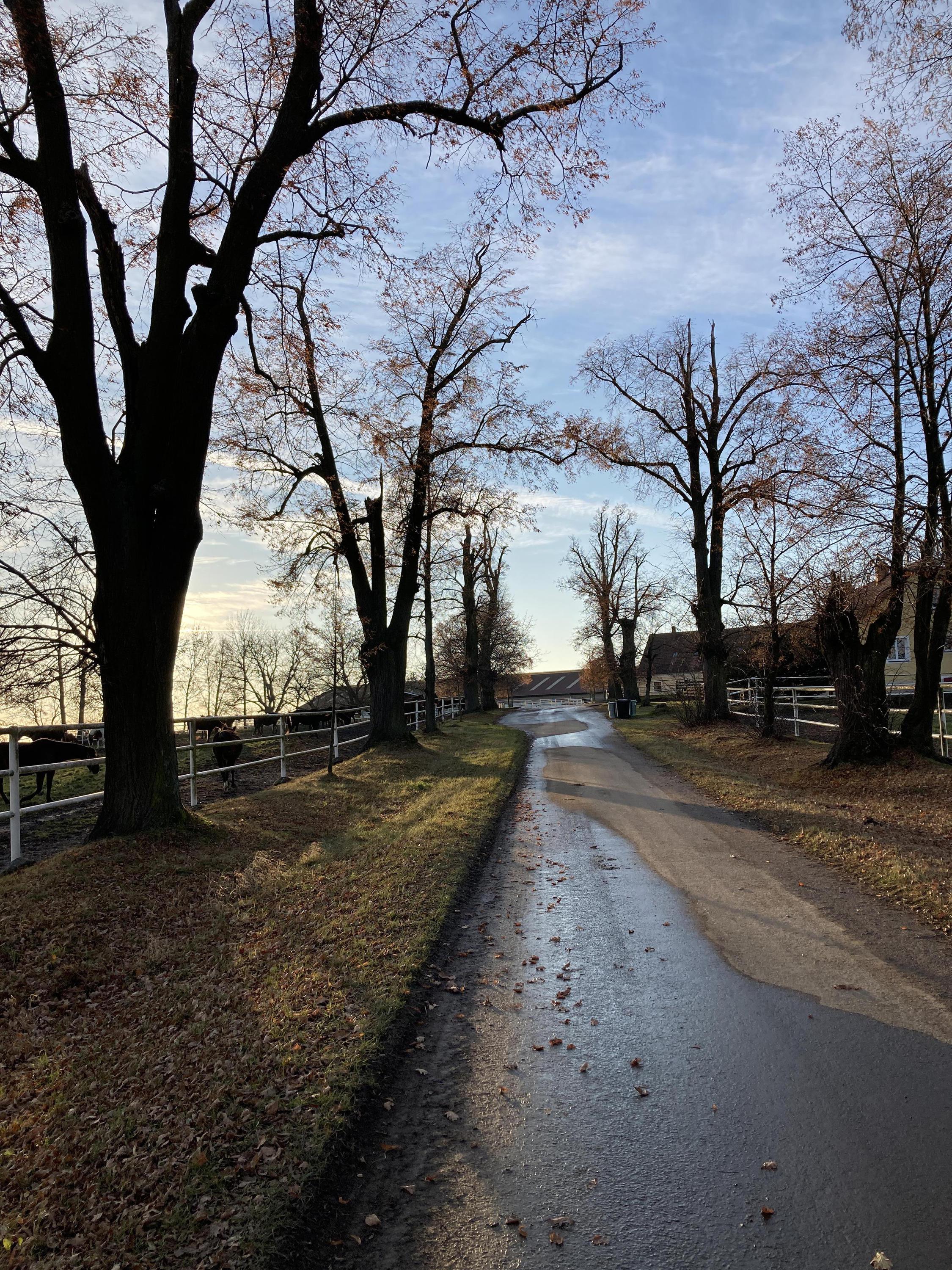 Agro - Hochstaffl, s.r.o. foto 3