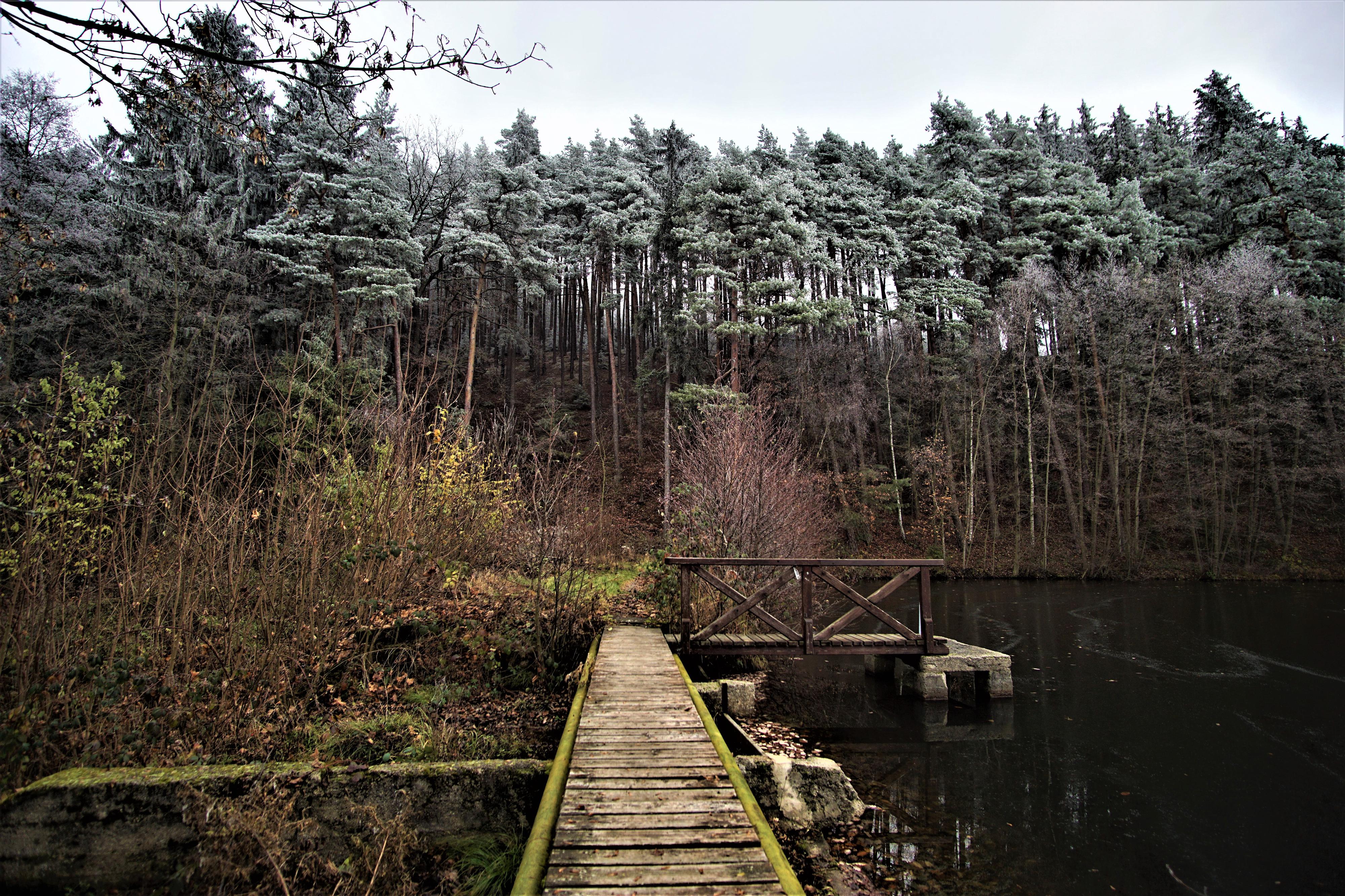Přírodní koupaliště Medový Újezd foto 4