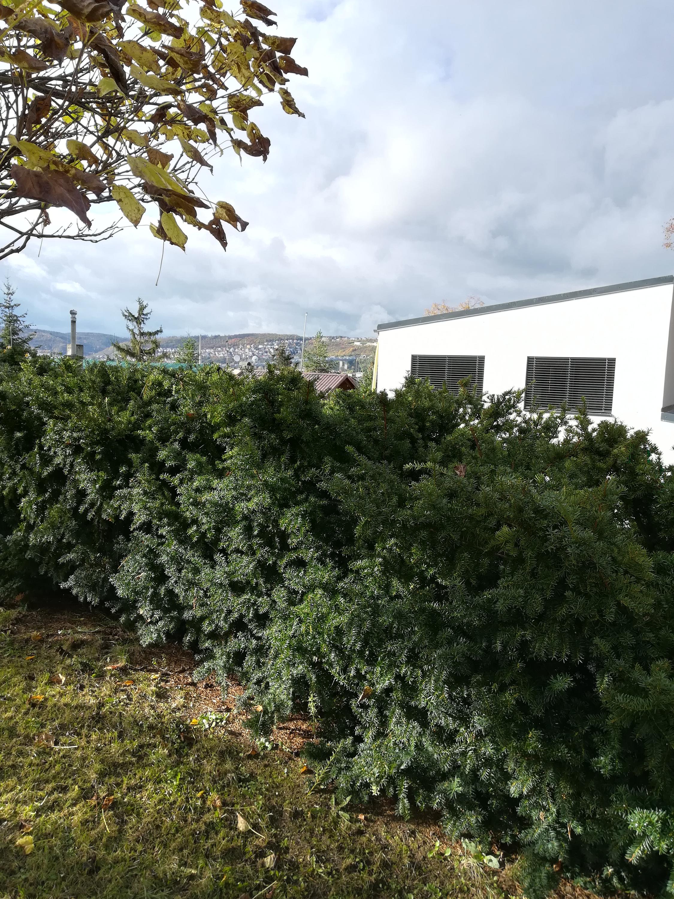 zahradniudrzby.cz foto 2