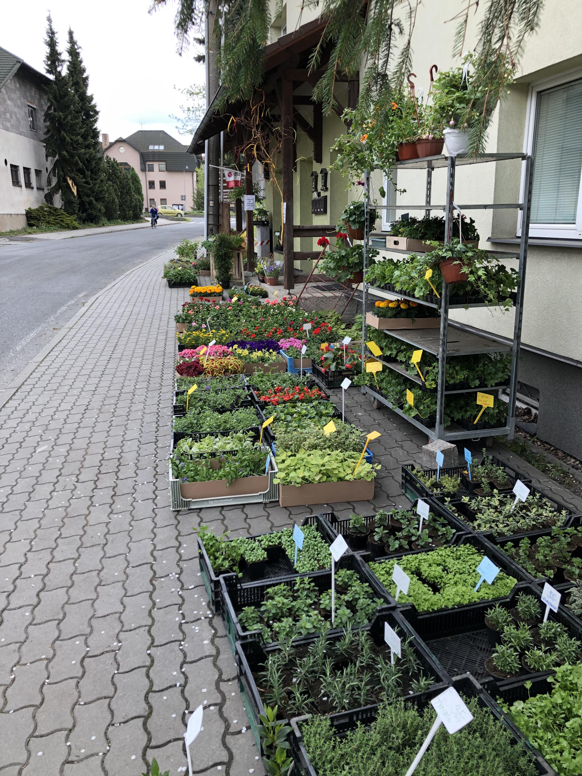 Květinářství, chovatelské a zahradnické potřeby foto 2