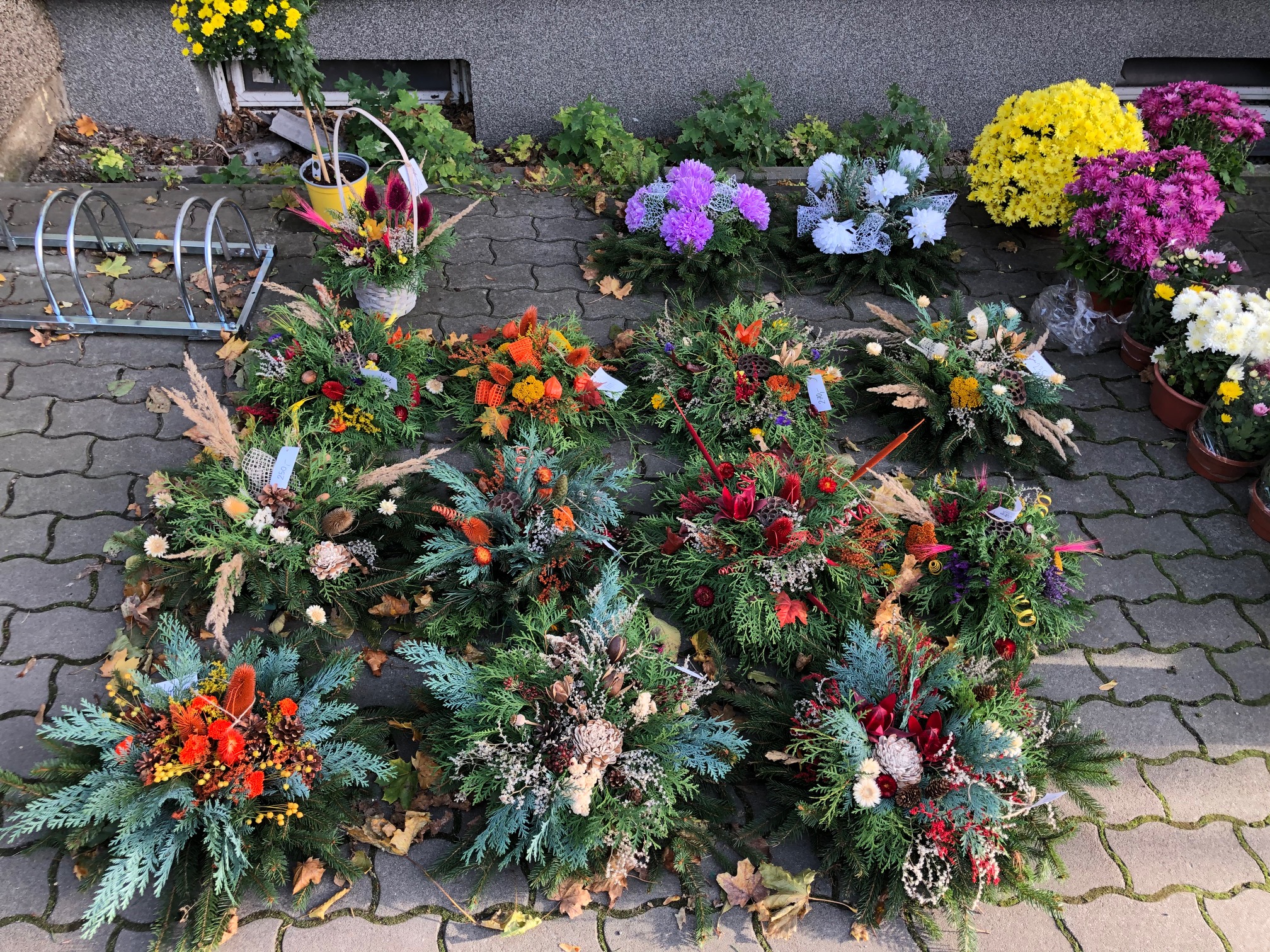 Květinářství, chovatelské a zahradnické potřeby foto 4