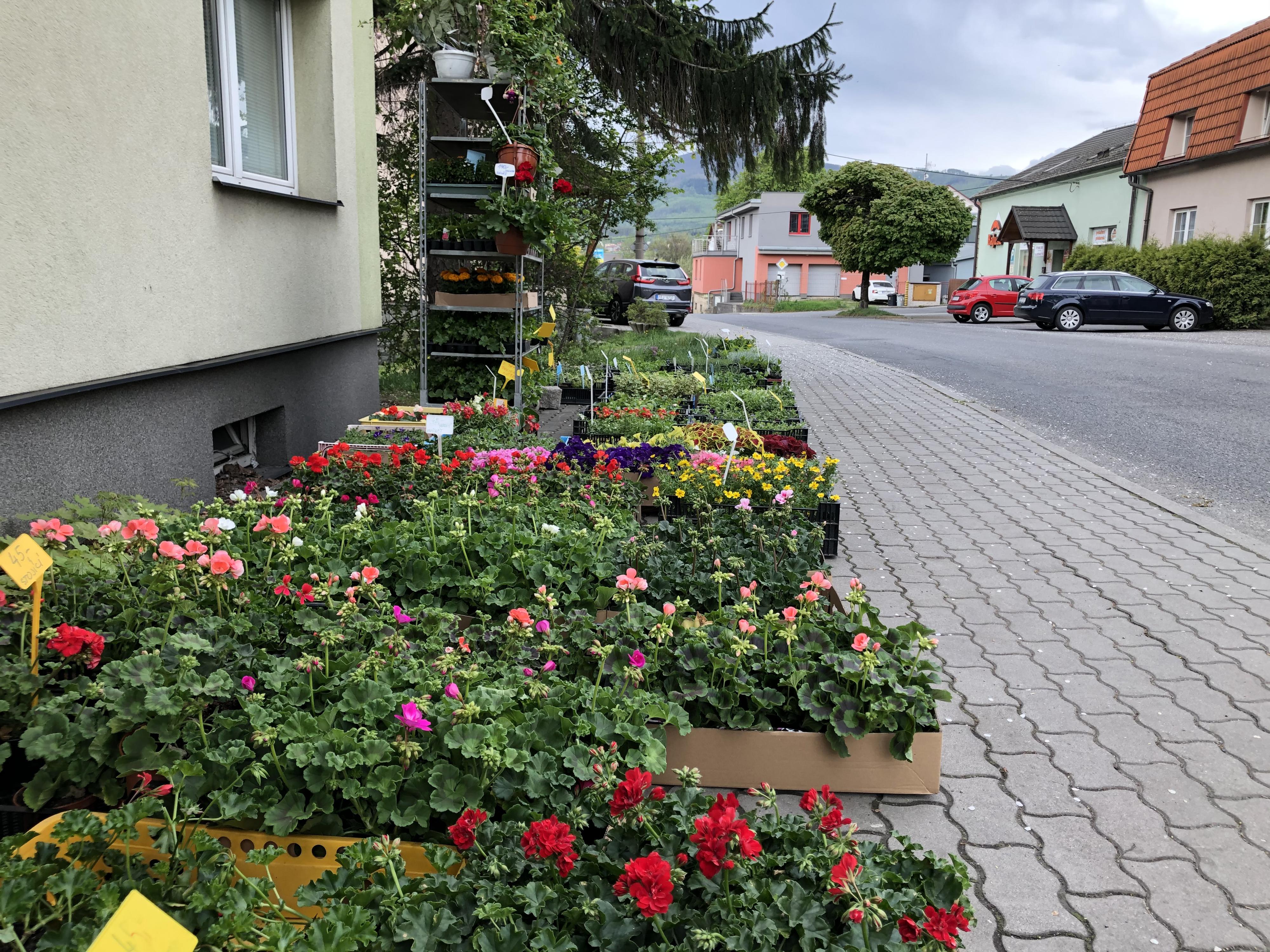 Květinářství, chovatelské a zahradnické potřeby foto 3