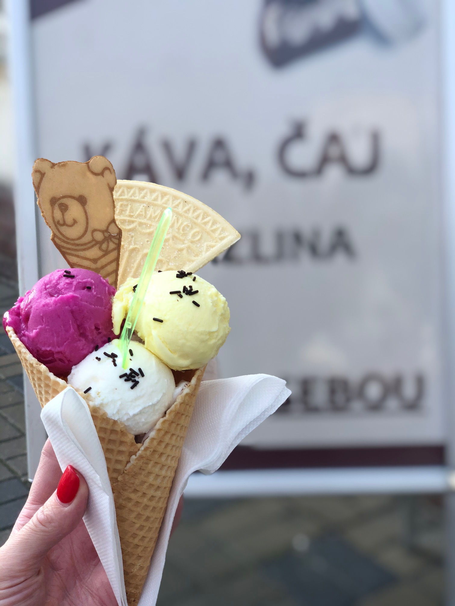 Anexzmrzlina s.r.o. foto 3