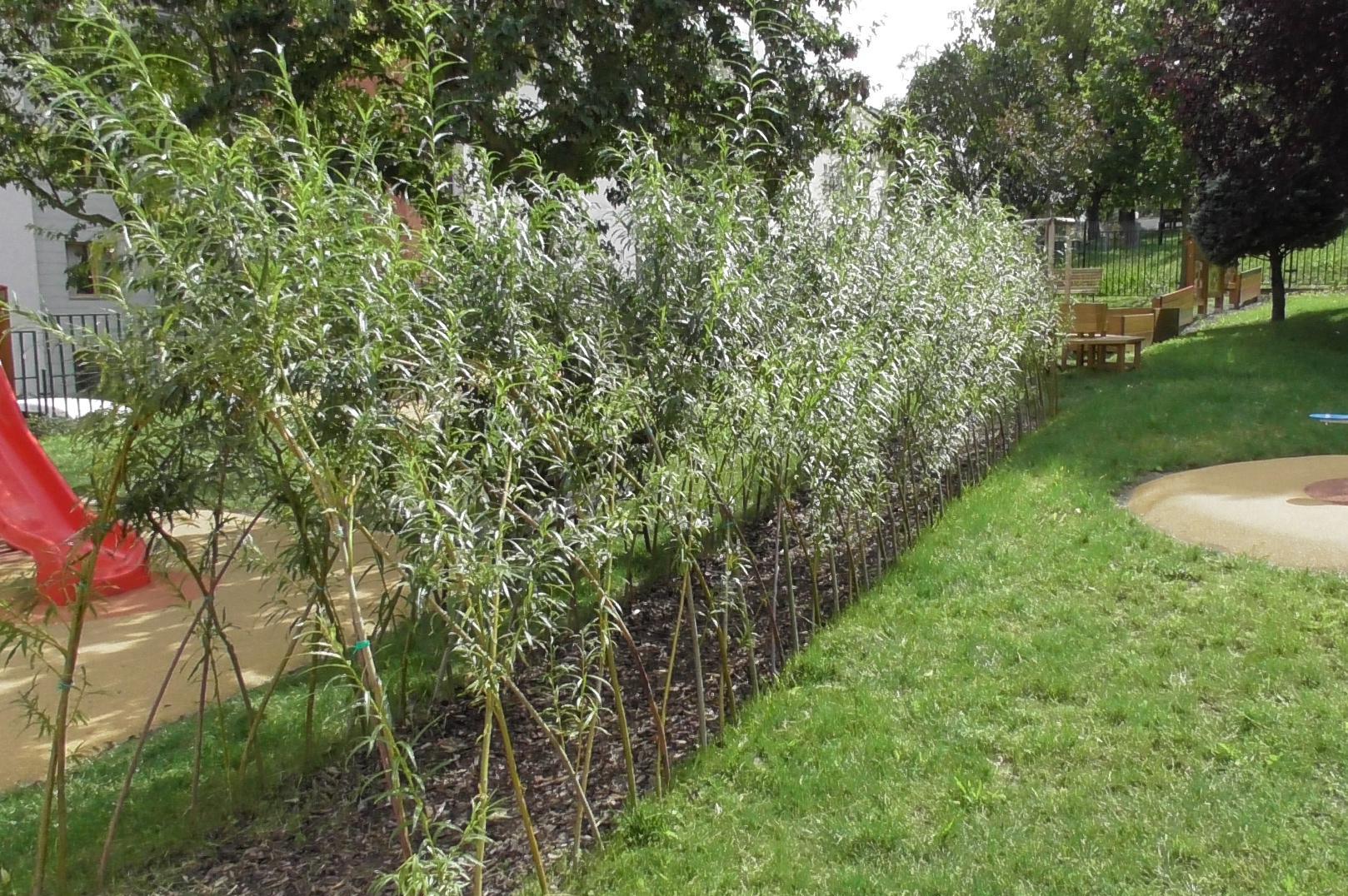 Vrbové stavby - Ondřej Kondvár