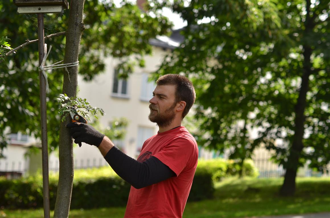 STROMOLEZCI Frýdek-Místek foto 4
