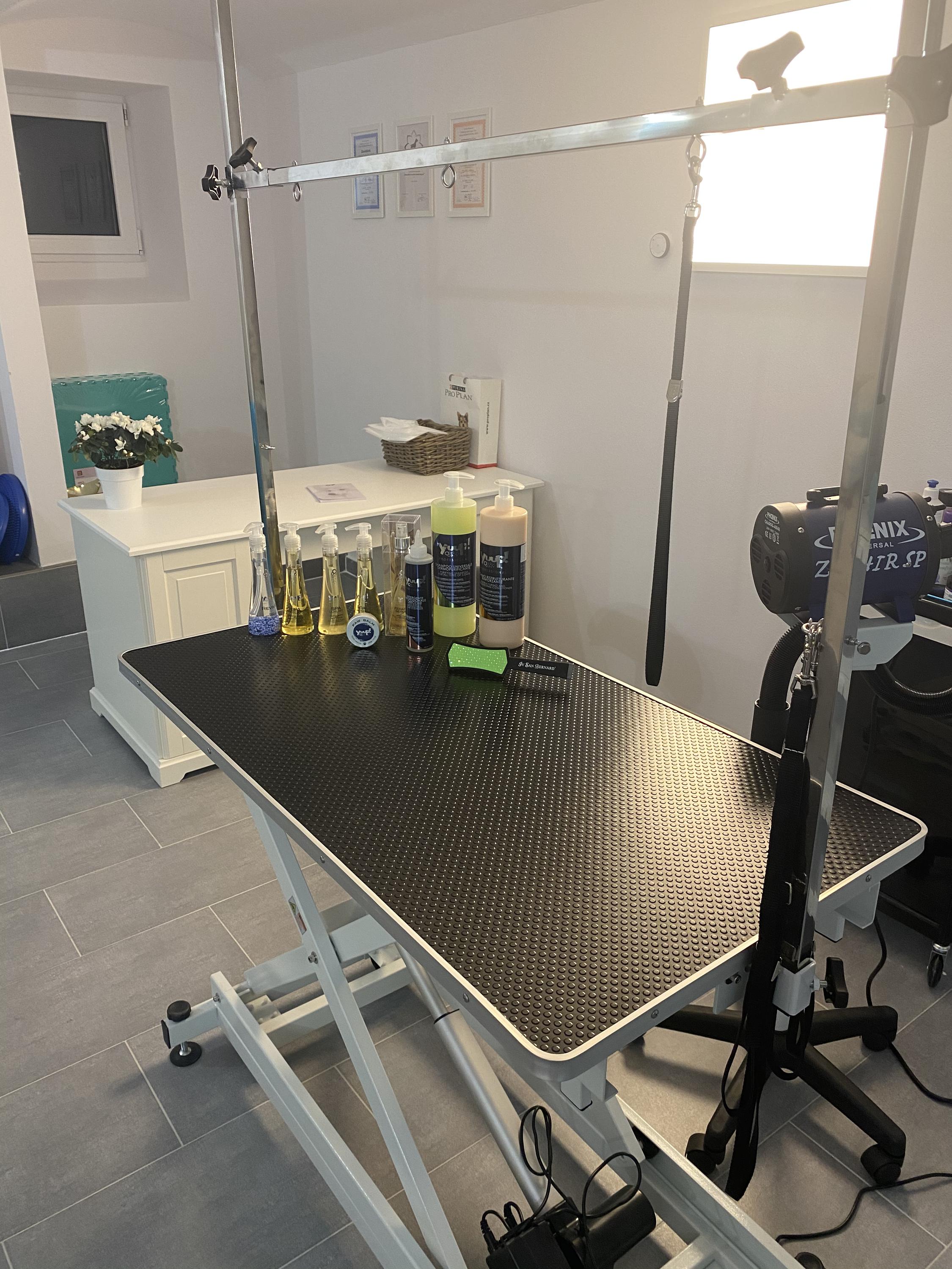 Moudrá péče o zvířátka - Lenka Moudrá foto 3