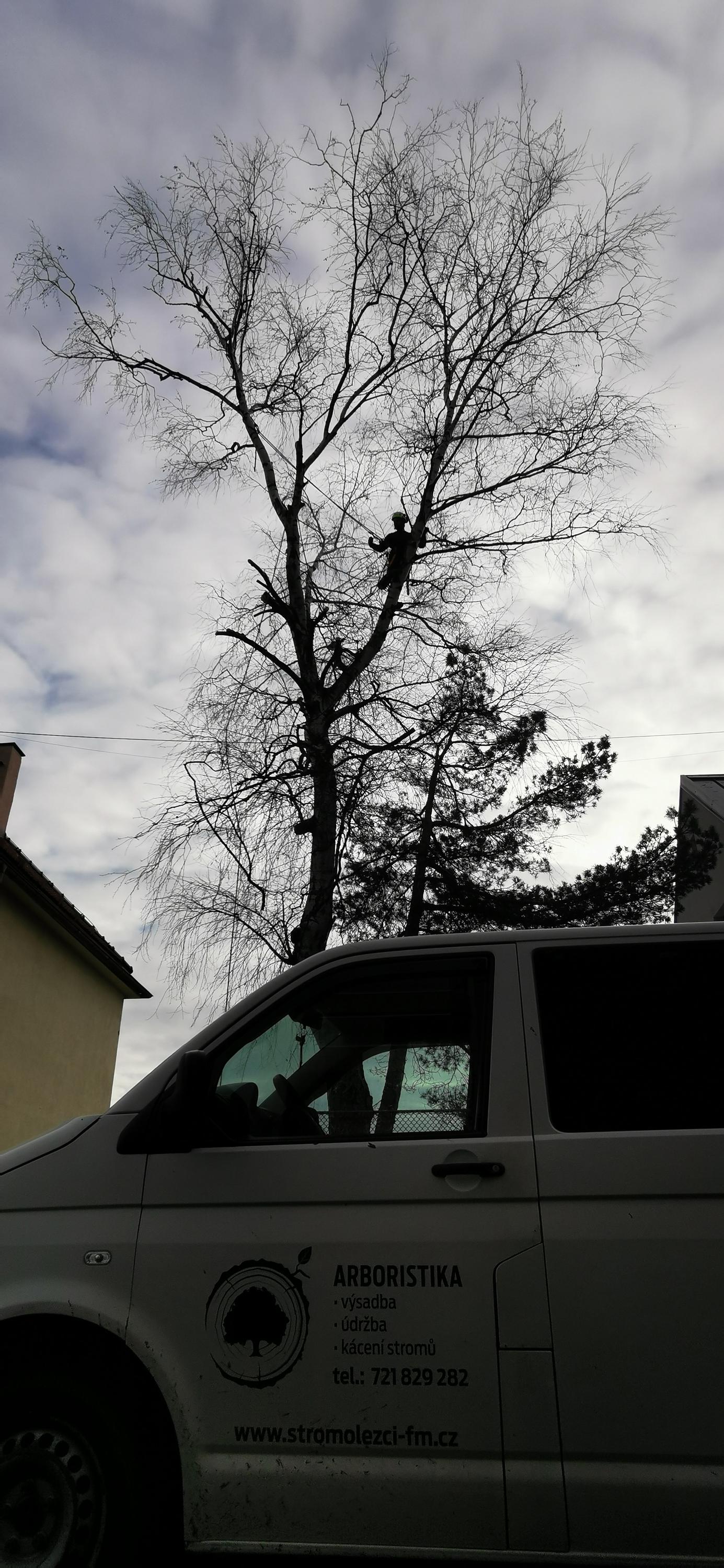STROMOLEZCI Frýdek-Místek foto 5