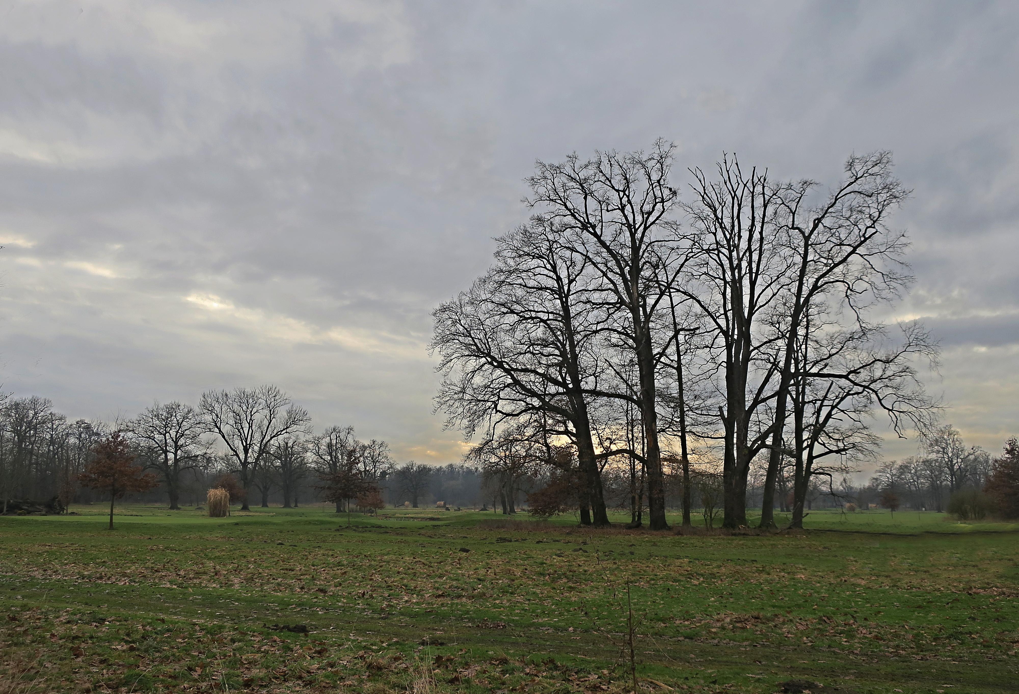 Golfový klub Hluboká nad Vltavou foto 5