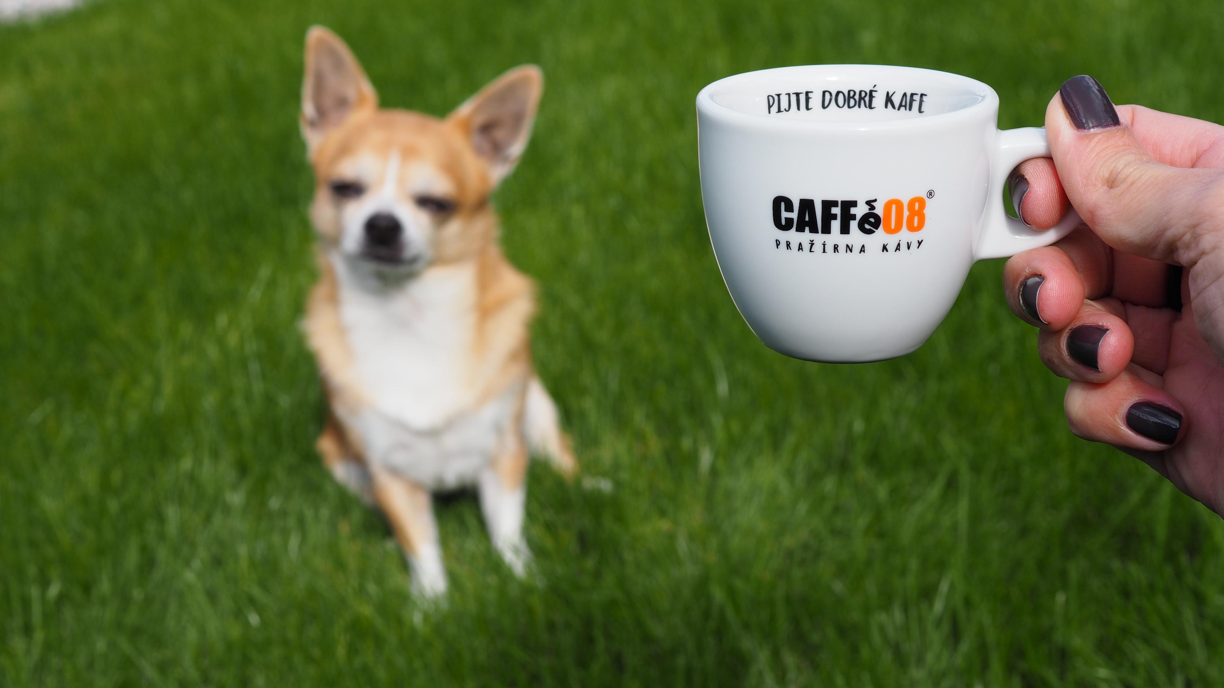 Pražírna kávy - Caffe08.cz foto 3