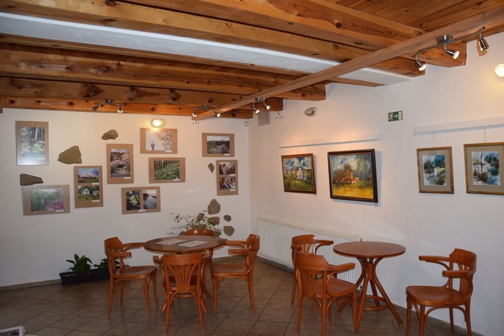 Novohradská galerie Koželužna foto 3