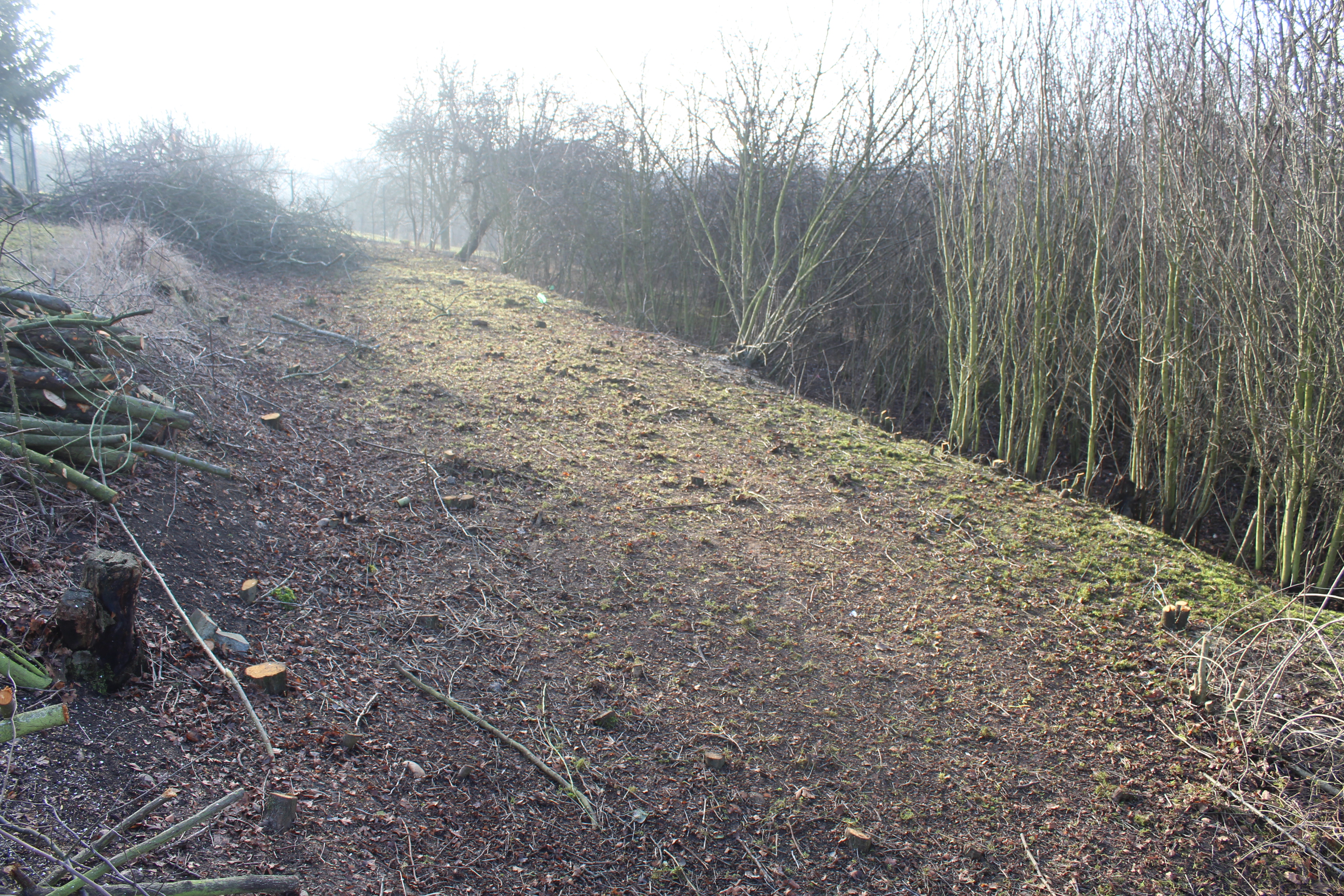 Simaco Agro & Land, s.r.o. foto 3