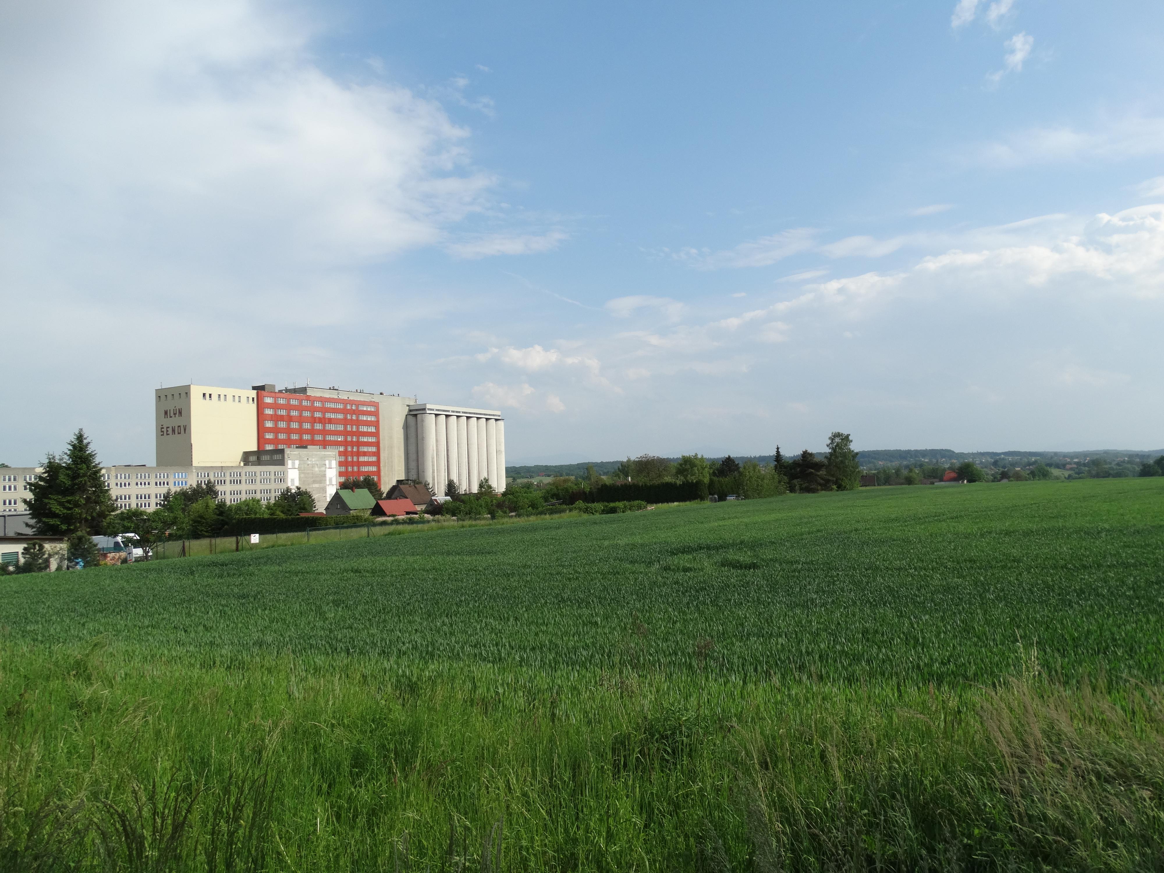 Violazahrady foto 2