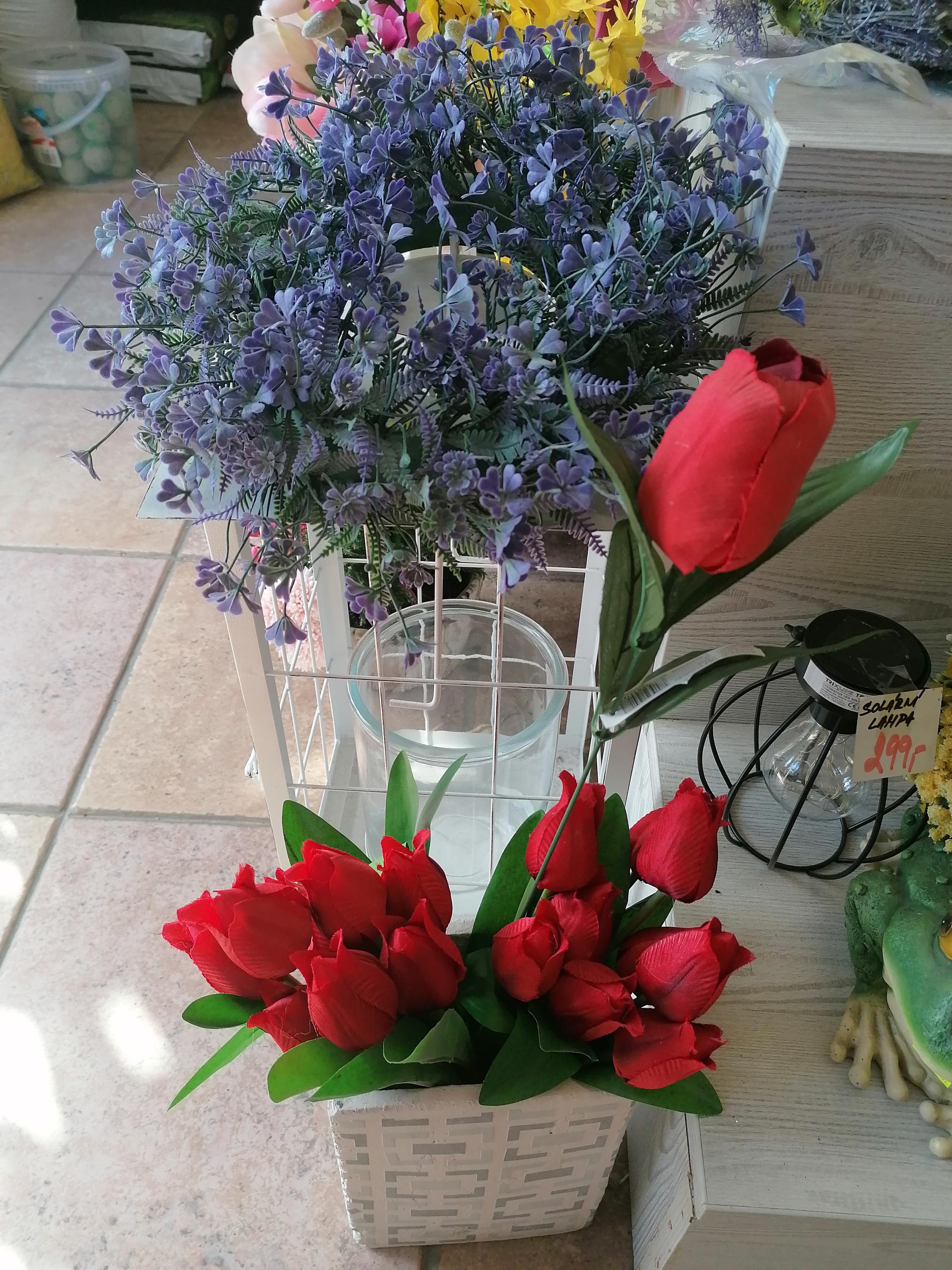 Květinářství Eggs s.r.o. foto 2