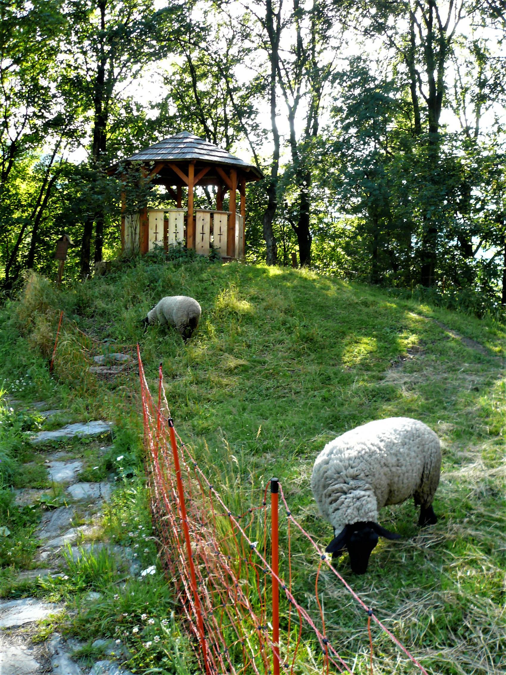 Horská chalupa U Hančilů foto 6
