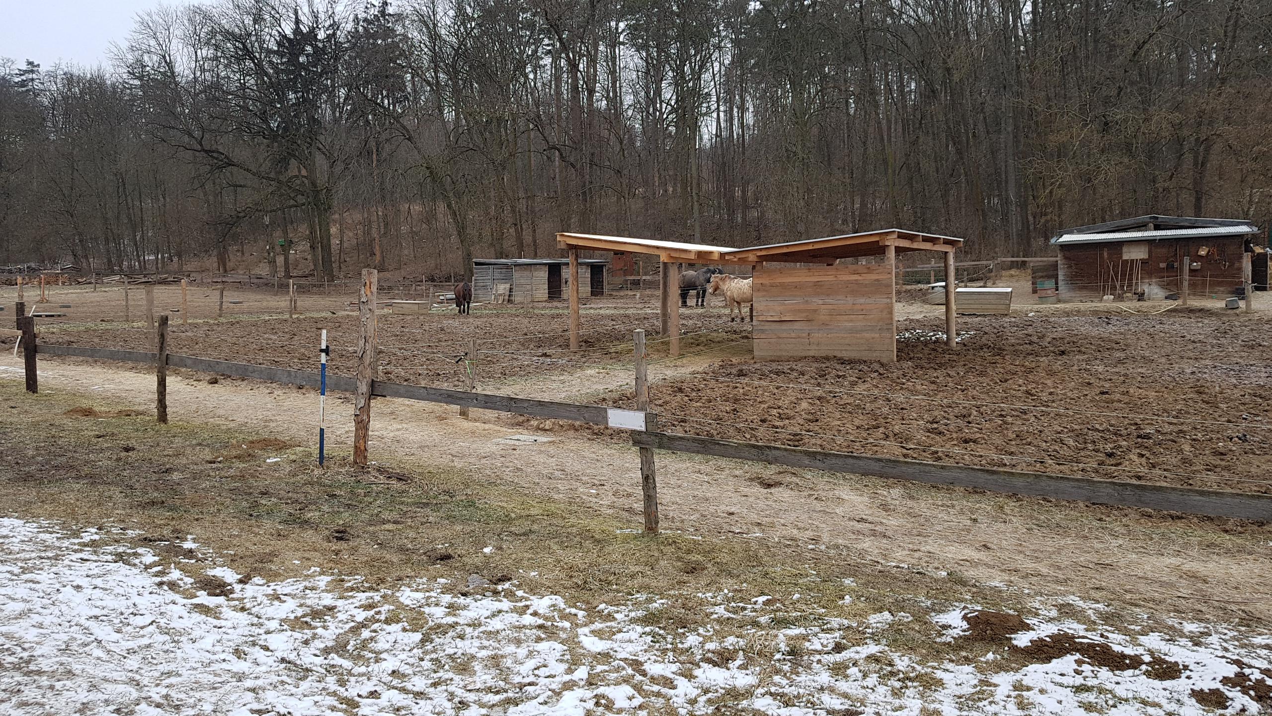 Jezdecká stáj Elvis – Kristýna Paulíková foto 2