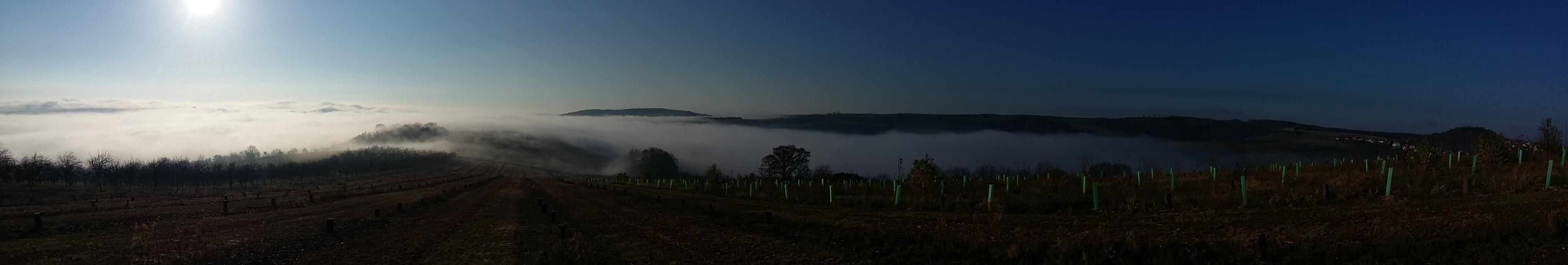 Ovocné sady Žlutava foto 2