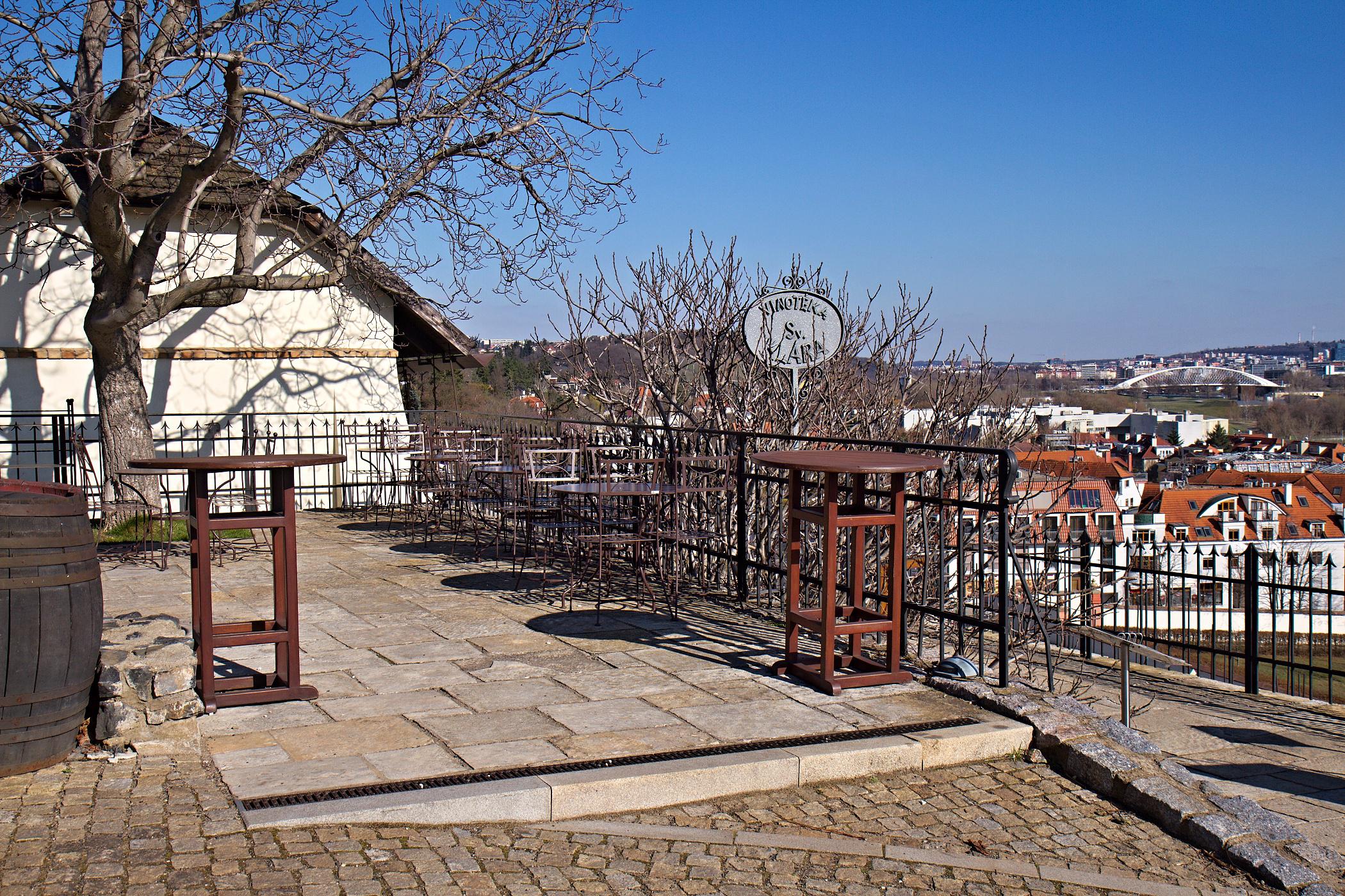 Vinice a vinotéka sv. Kláry - Botanická zahrada Praha foto 6