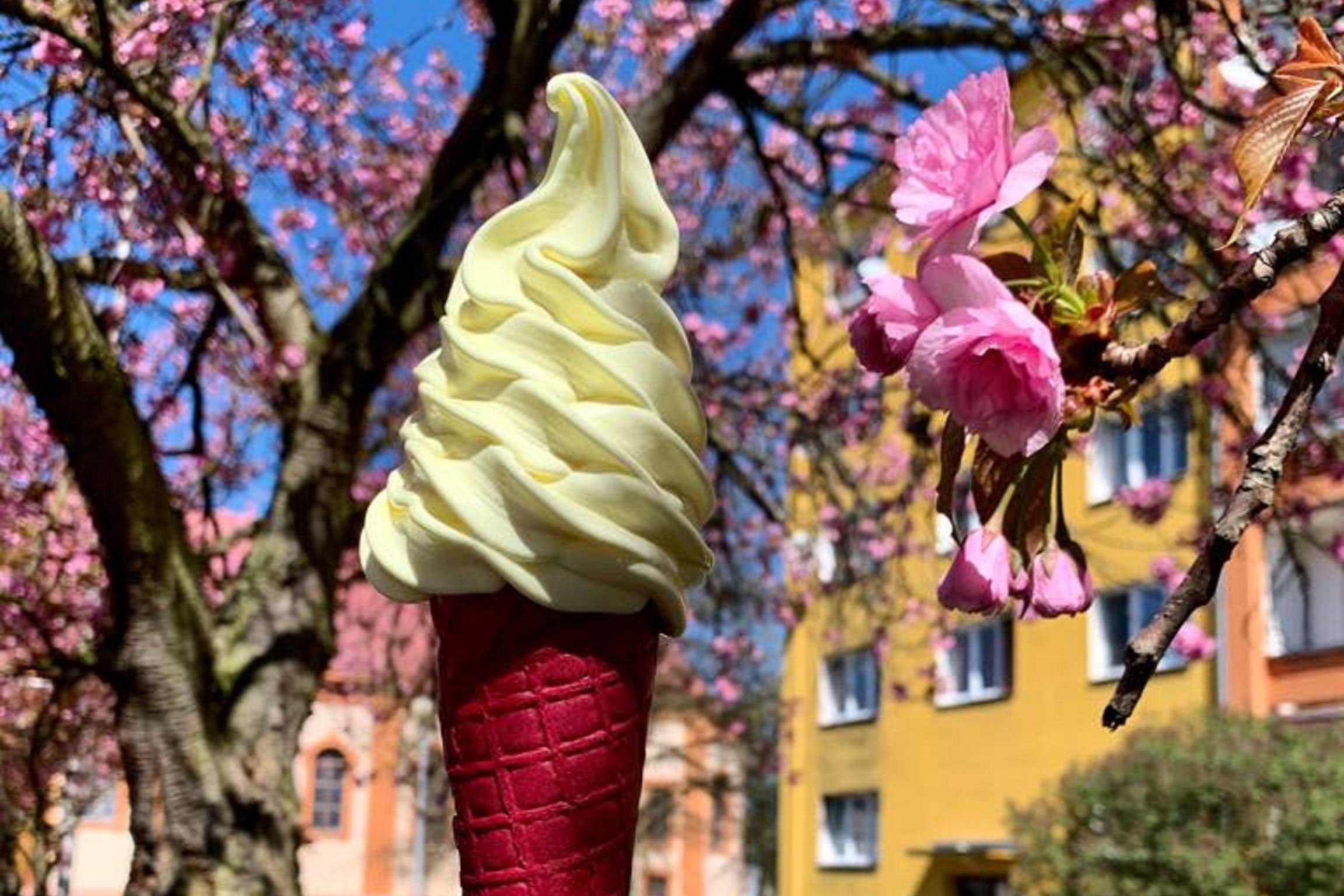 Zmrzlina U Staráku foto 1