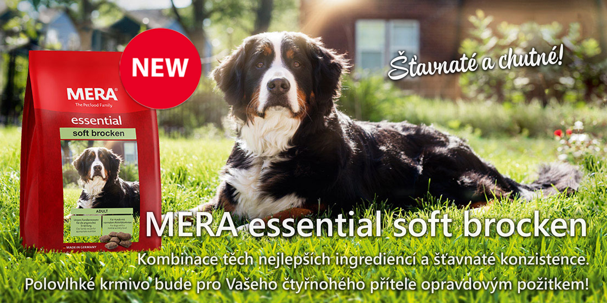 Meradog.cz foto 4