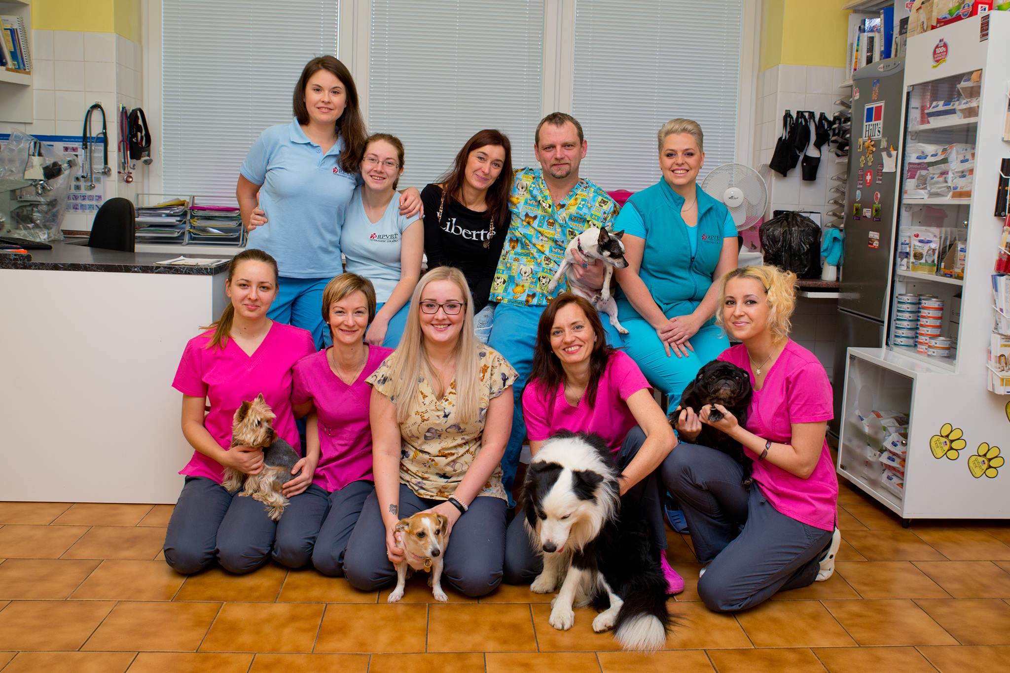 RPVET - VETERINÁRNÍ KLINIKA A POHOTOVOST MVDr. RADEK PROTIVA a kol. foto 3