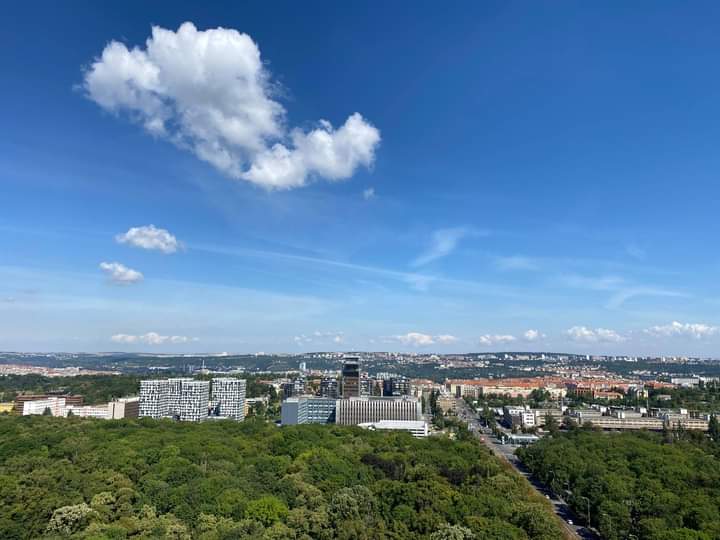 Bc. Petr ŠOSTÝ | RE/MAX Art foto 4