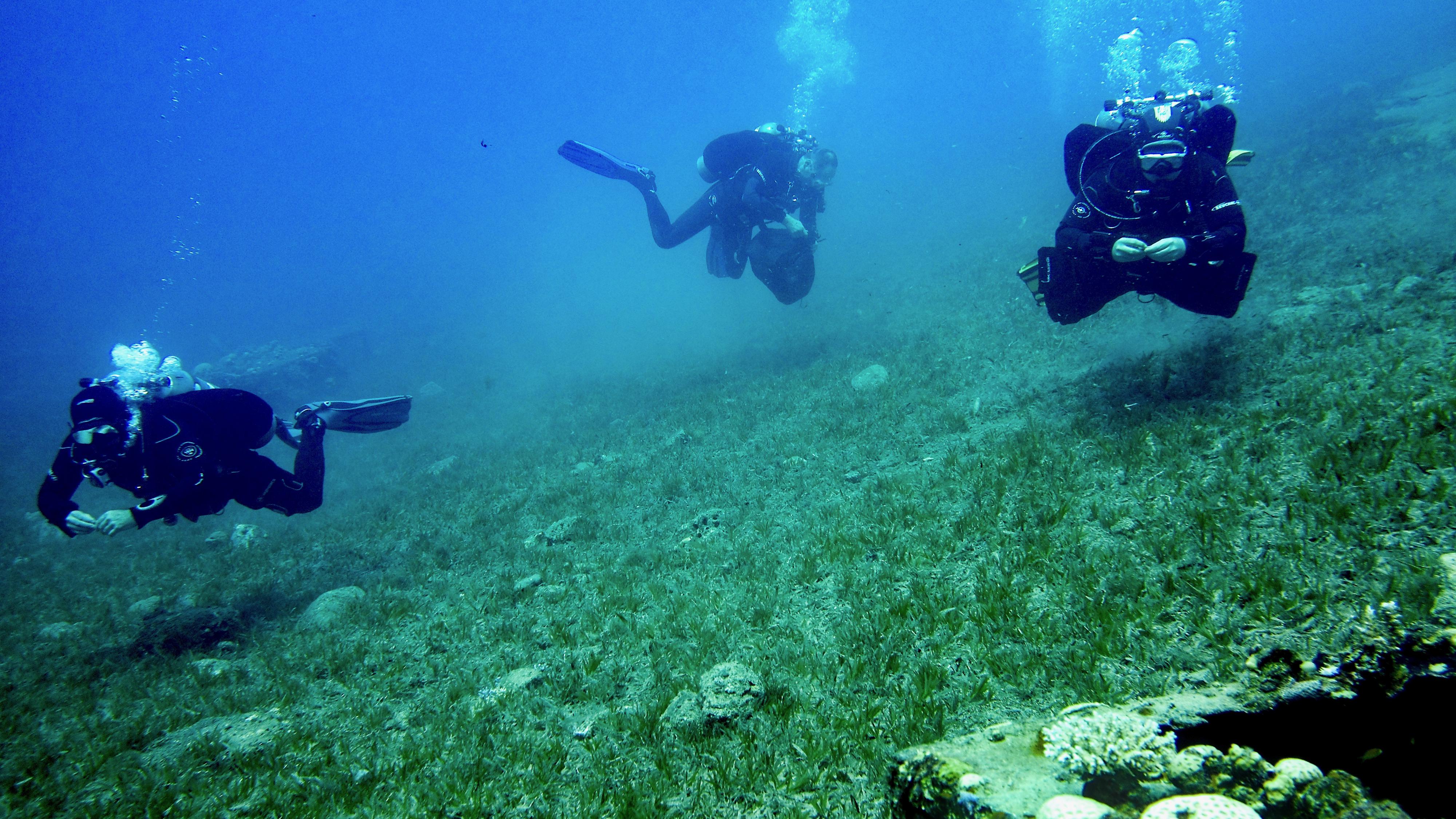 Happy Divers foto 4