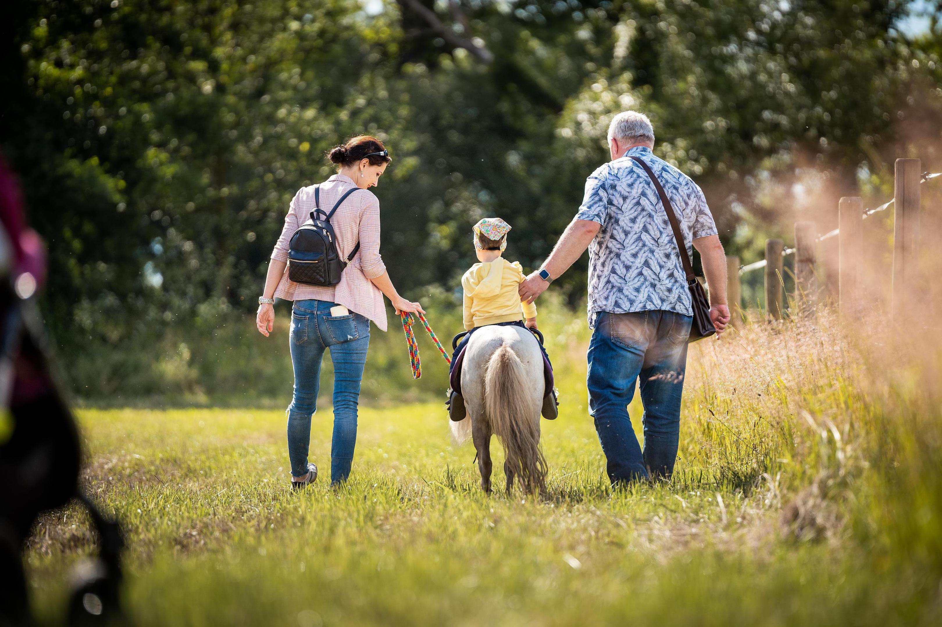 NESTÁDO - ZÁŽITKY S KOŇMI A PONÍKY