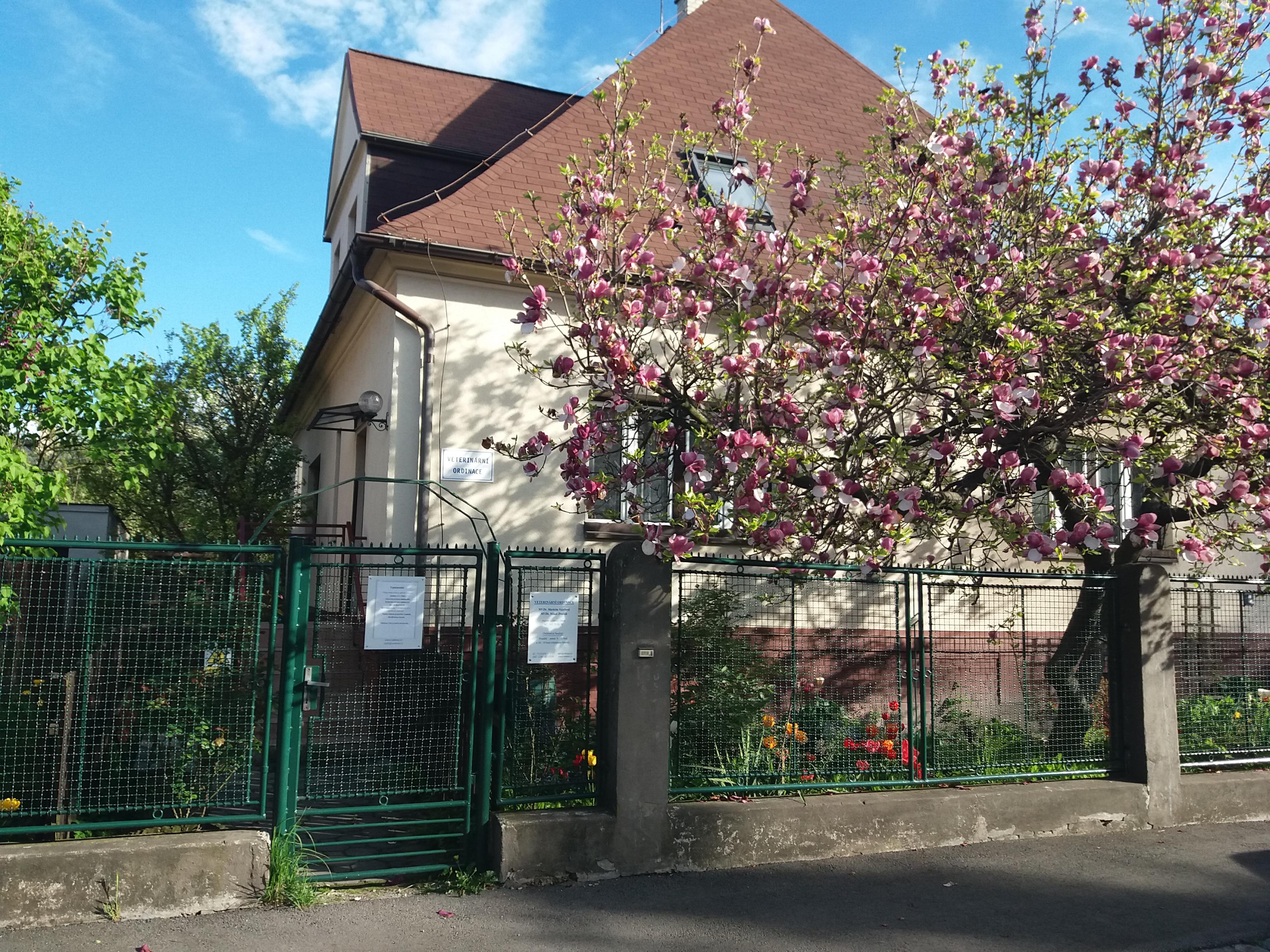 Veterinární ordinace MVDr. Markéta Valešová foto 2
