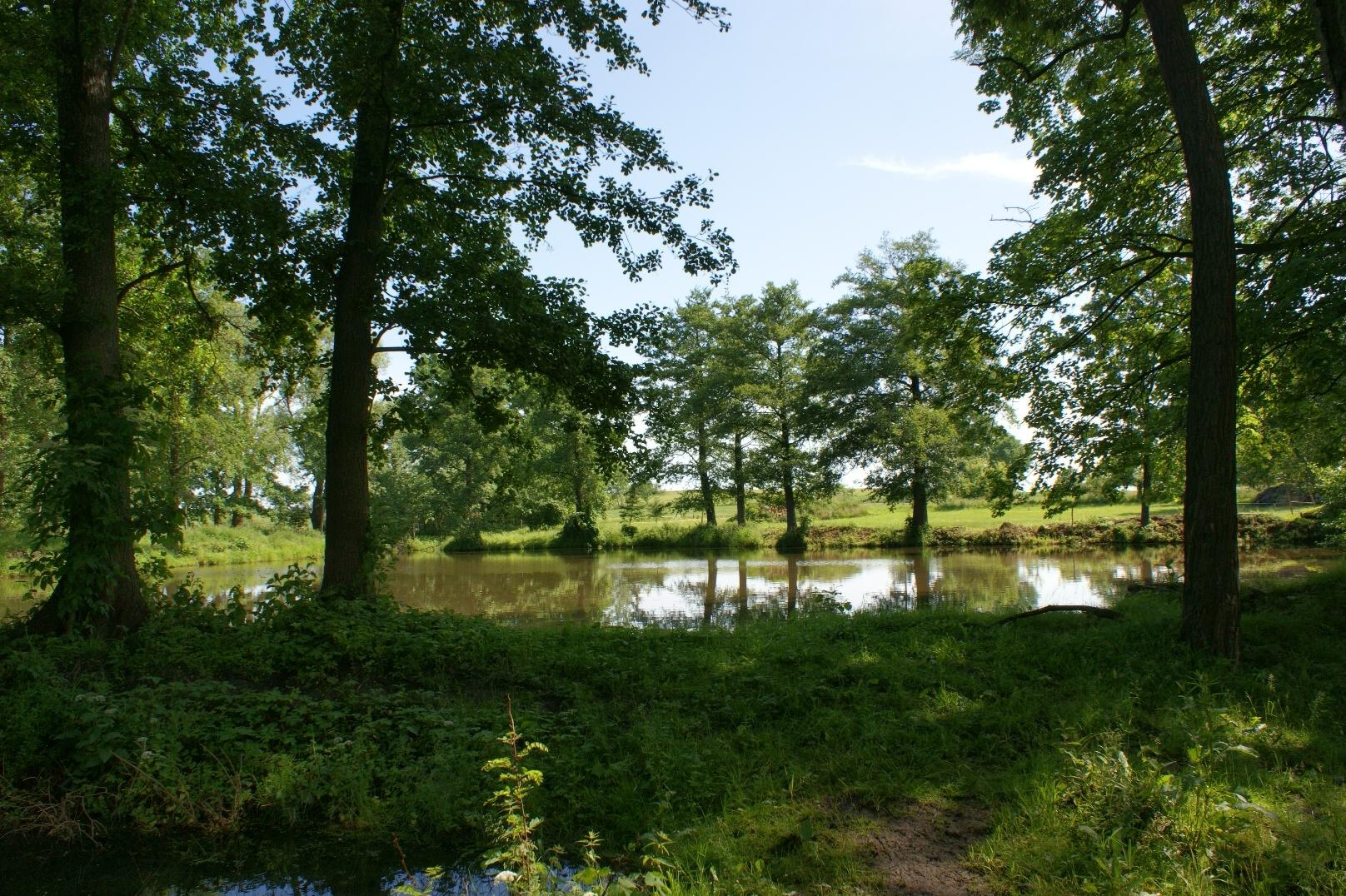 Ubytování na ranči s rybařením foto 1