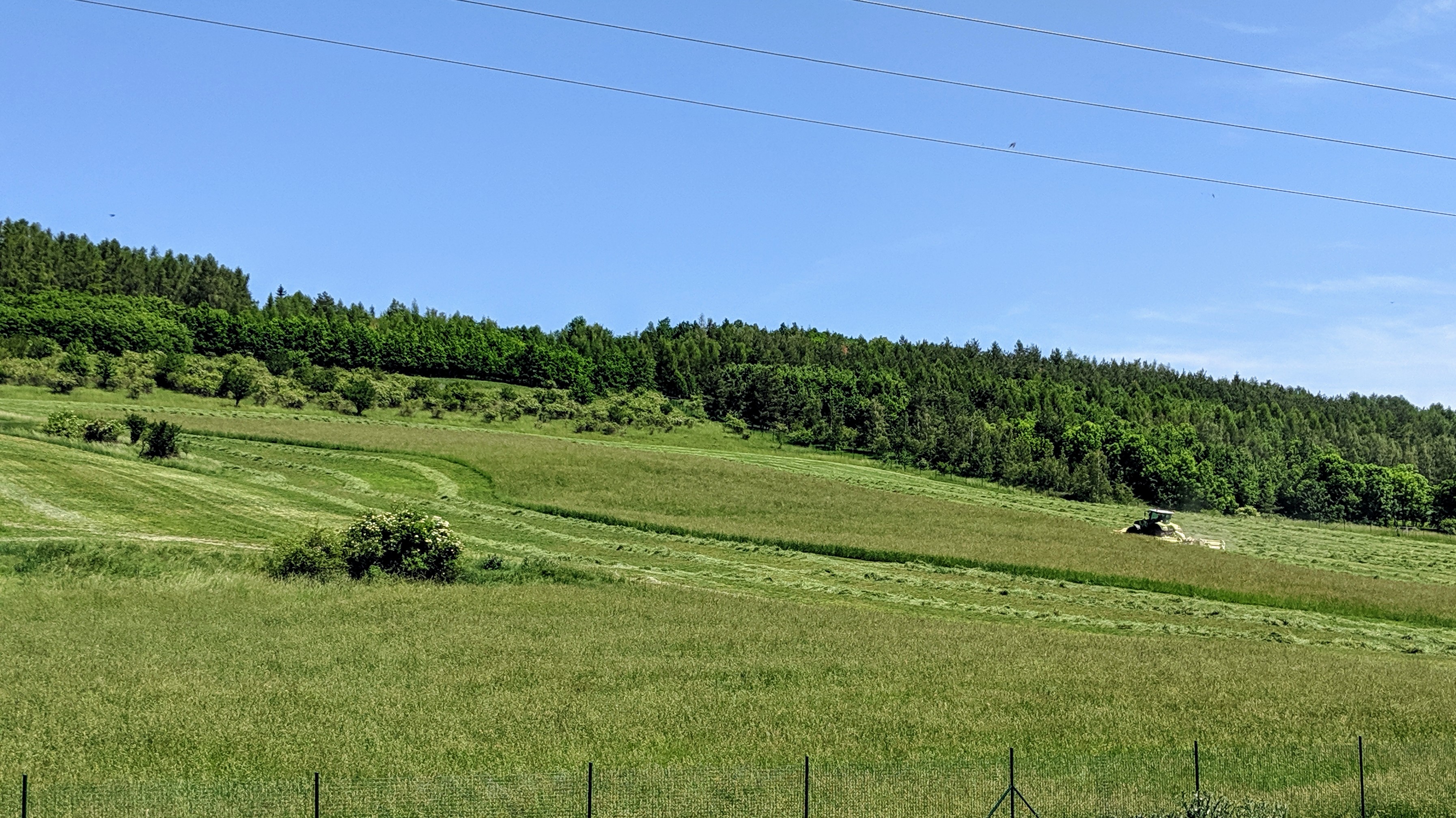 Farma Doupov
