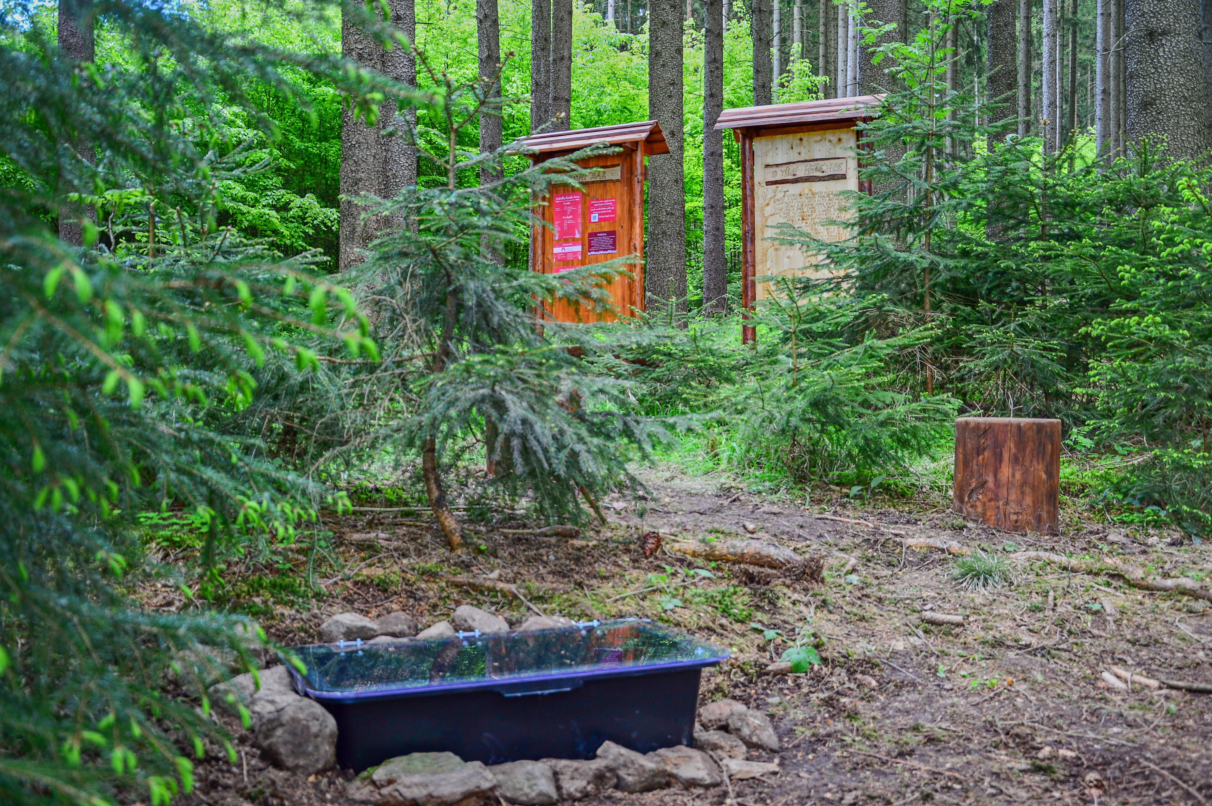 Lesní bar u víly Helenky foto 3