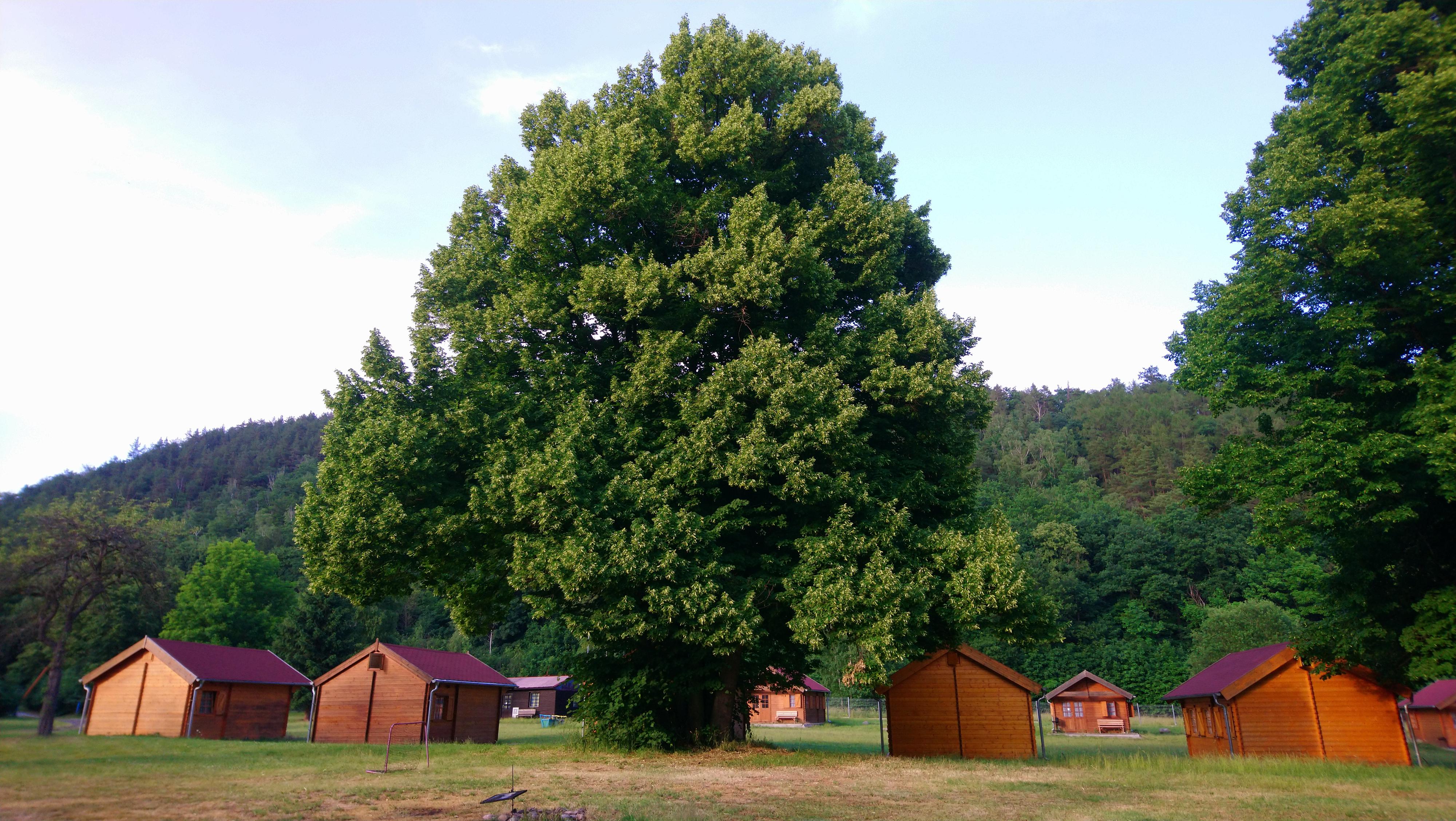 Autokemp Prunéřov foto 6